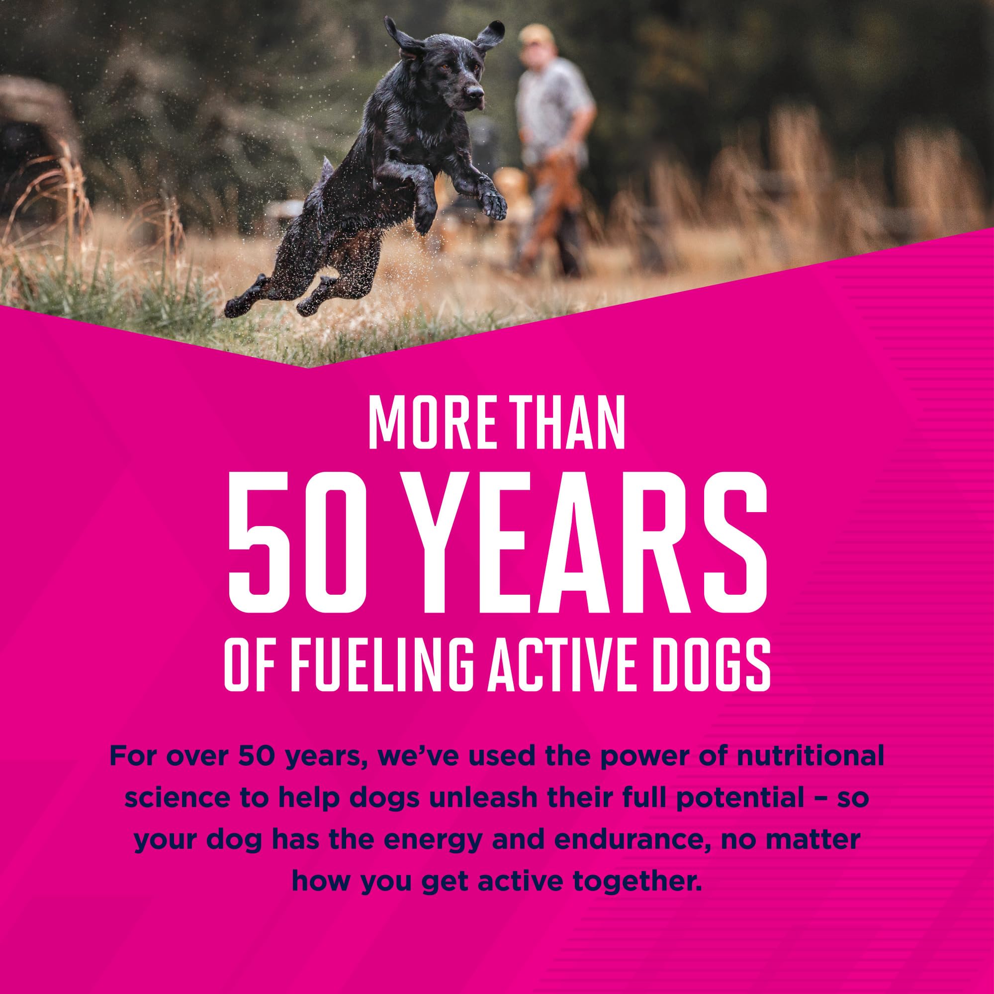 Eukanuba Premium Performance 30/20 Sport Dry Dog Food, Dry Dog Food with Protein and Fat to Support Optimal Energy, 28 lb Bag