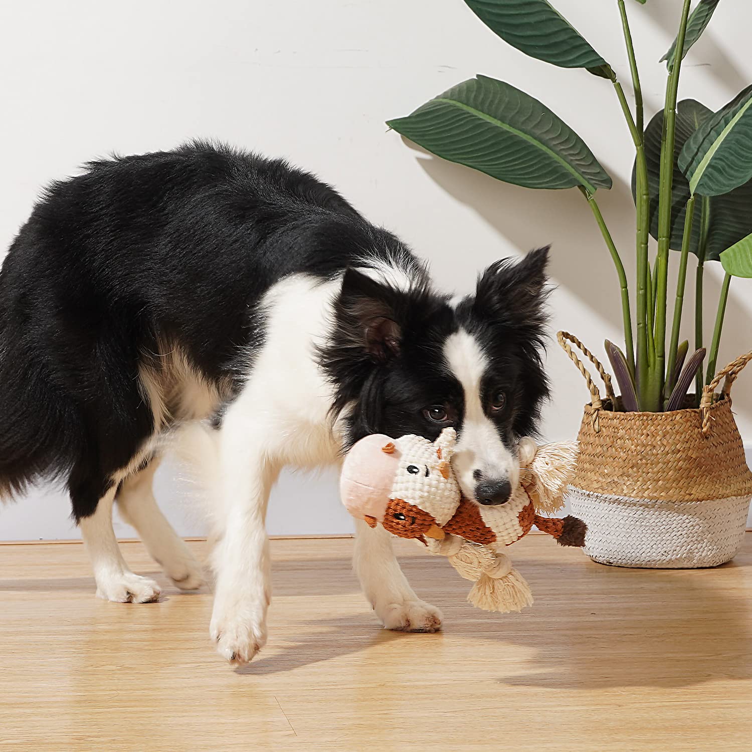 Sedioso Dog Toys, Dog Plush Toy For Large Breed, Cute Squeaky Dog Toys With Crinkle Paper, Dog Chew Toys For Puppy, Small, Middle, Big Dogs (Octopus)