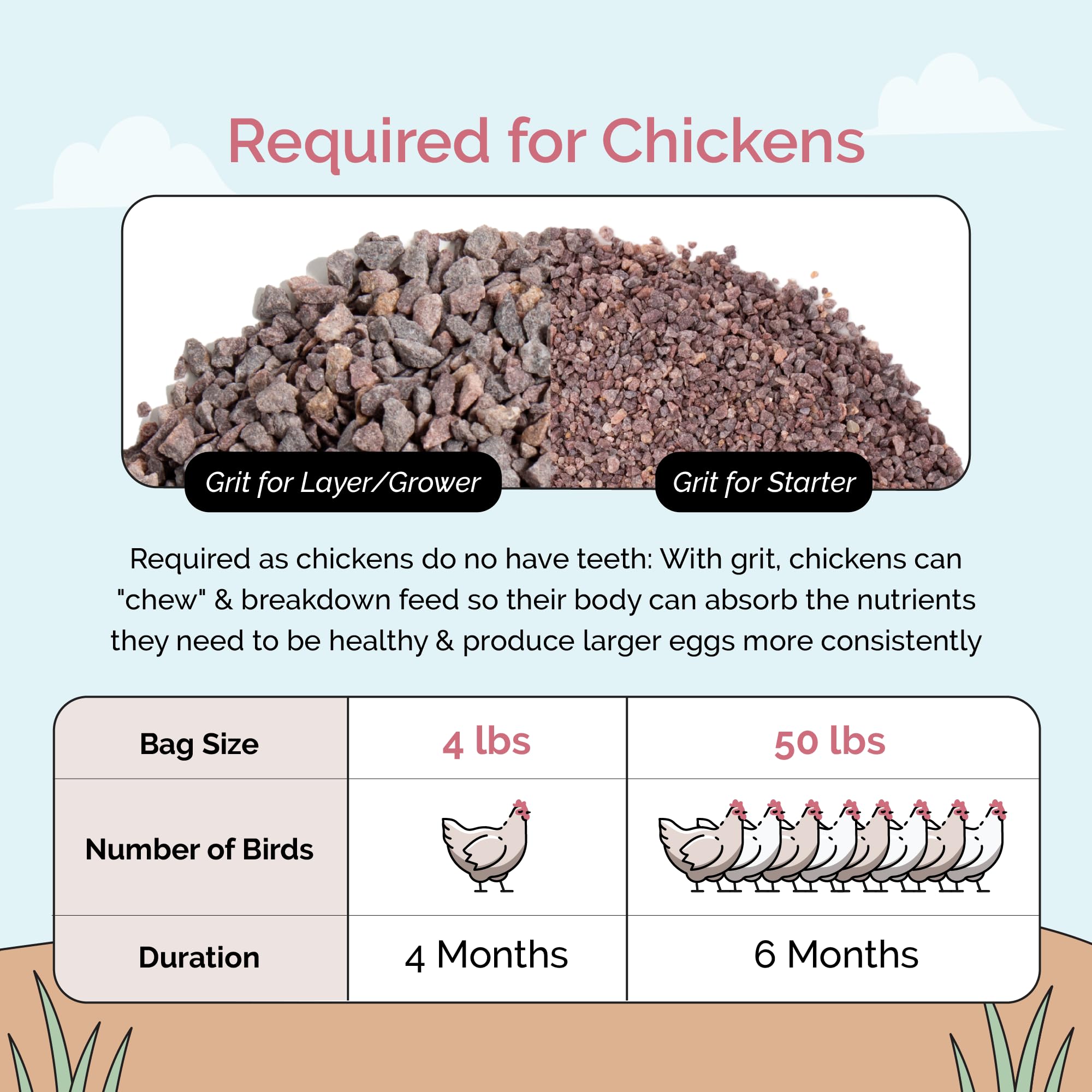 Mile Four Chicken Grit for Layer & Grower Chickens Age 8-20+ Weeks - 100% Natural Mineral Chicken Grit Quartzite, Poultry Grit,
