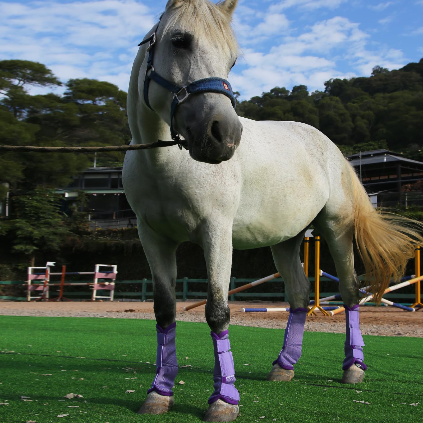 Gallopoff Horse Fly Boots Set Of 4, Breathable Comfy Mesh Fly Boots For Horses, Non-Slip Horse Fly Leggings No More Stomping & H