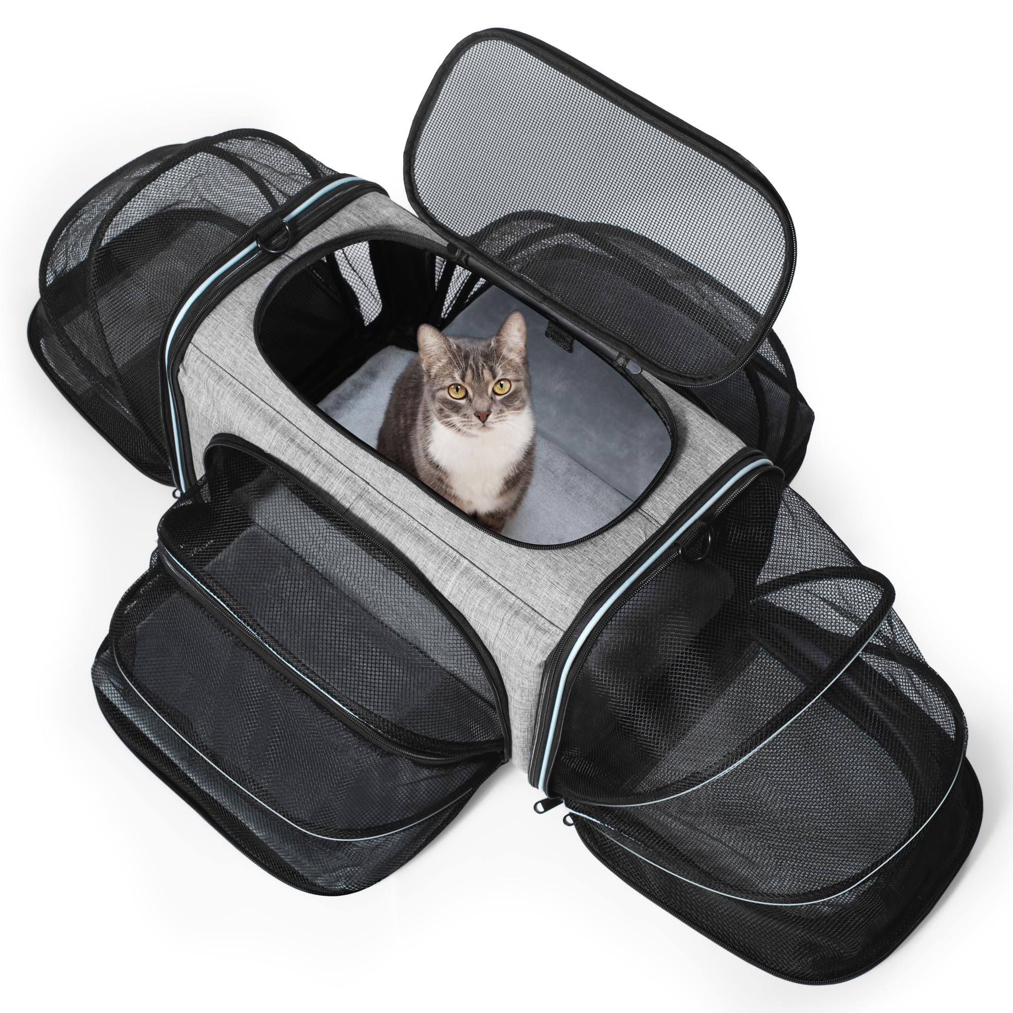 Siivton Cat Carrier,4 Sided Expandable Pet Carrier for Travel,Collapsible Soft-Sided Carriers with Removable Fleece Pad and Shou