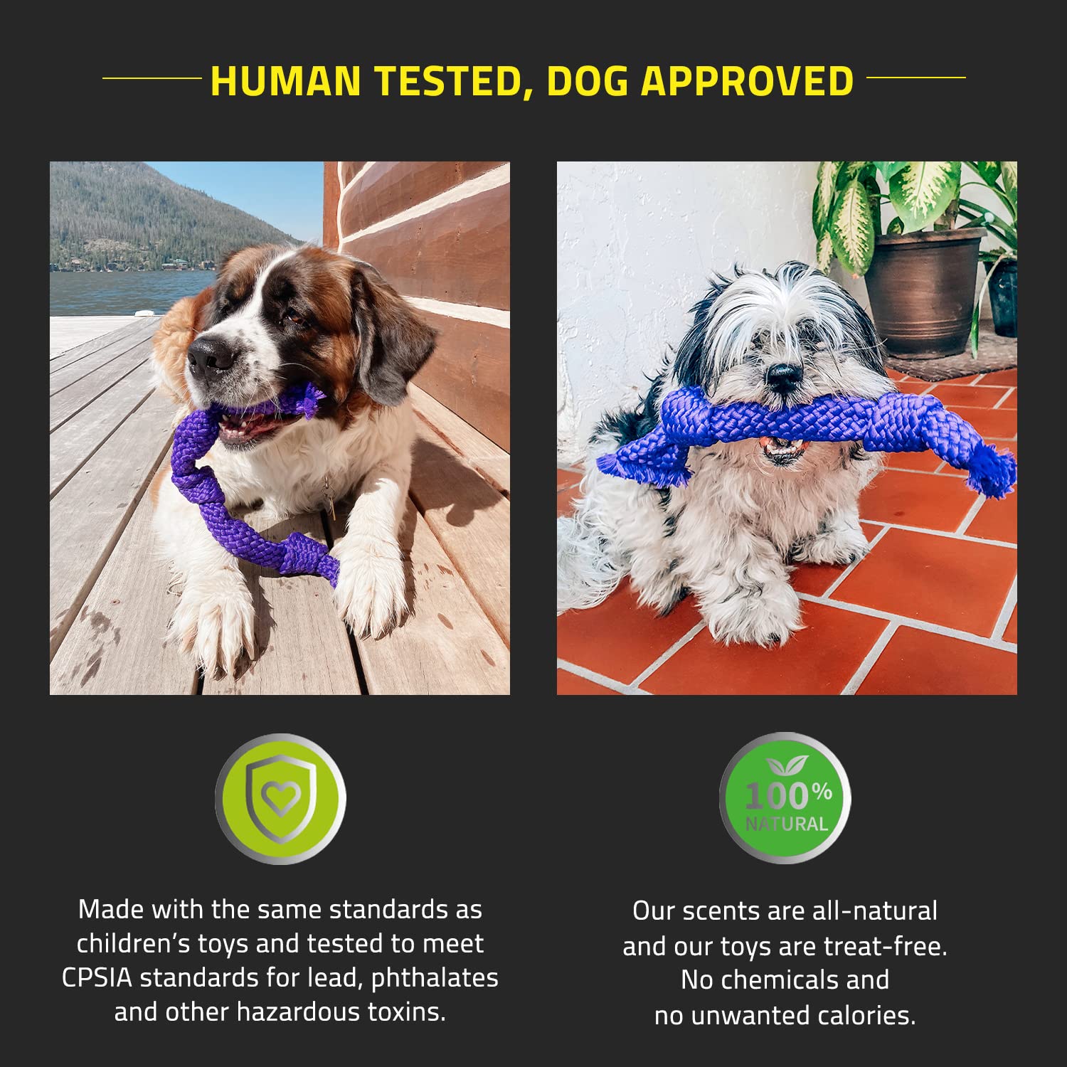 Playology Silver - Dental Rope Dog Toy - Designed for Senior Dogs - Engaging All-Natural Scent