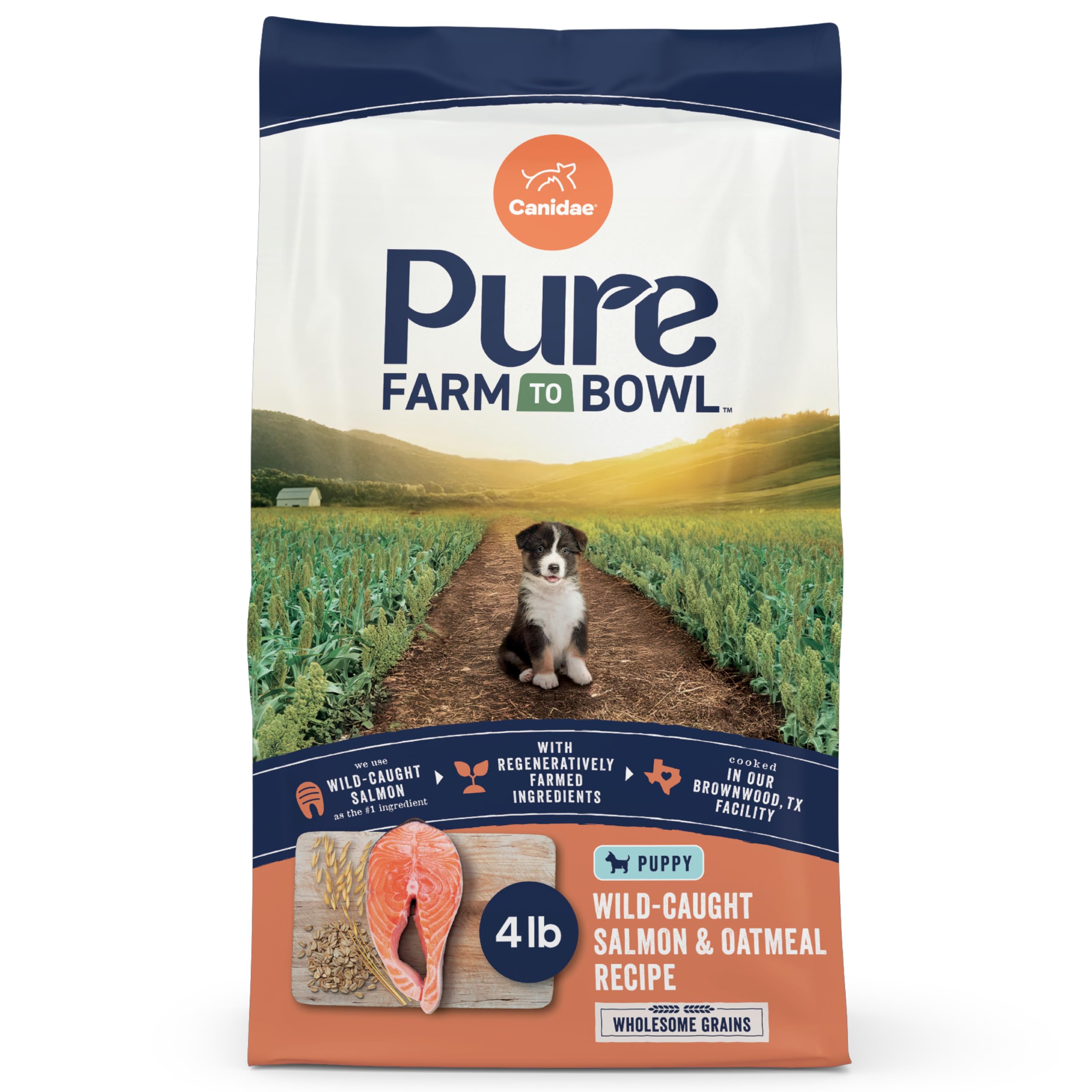 CANIDAE Pure Dry Puppy Food with Wholesome Grains, Real Salmon & Oatmeal, 4 lbs.