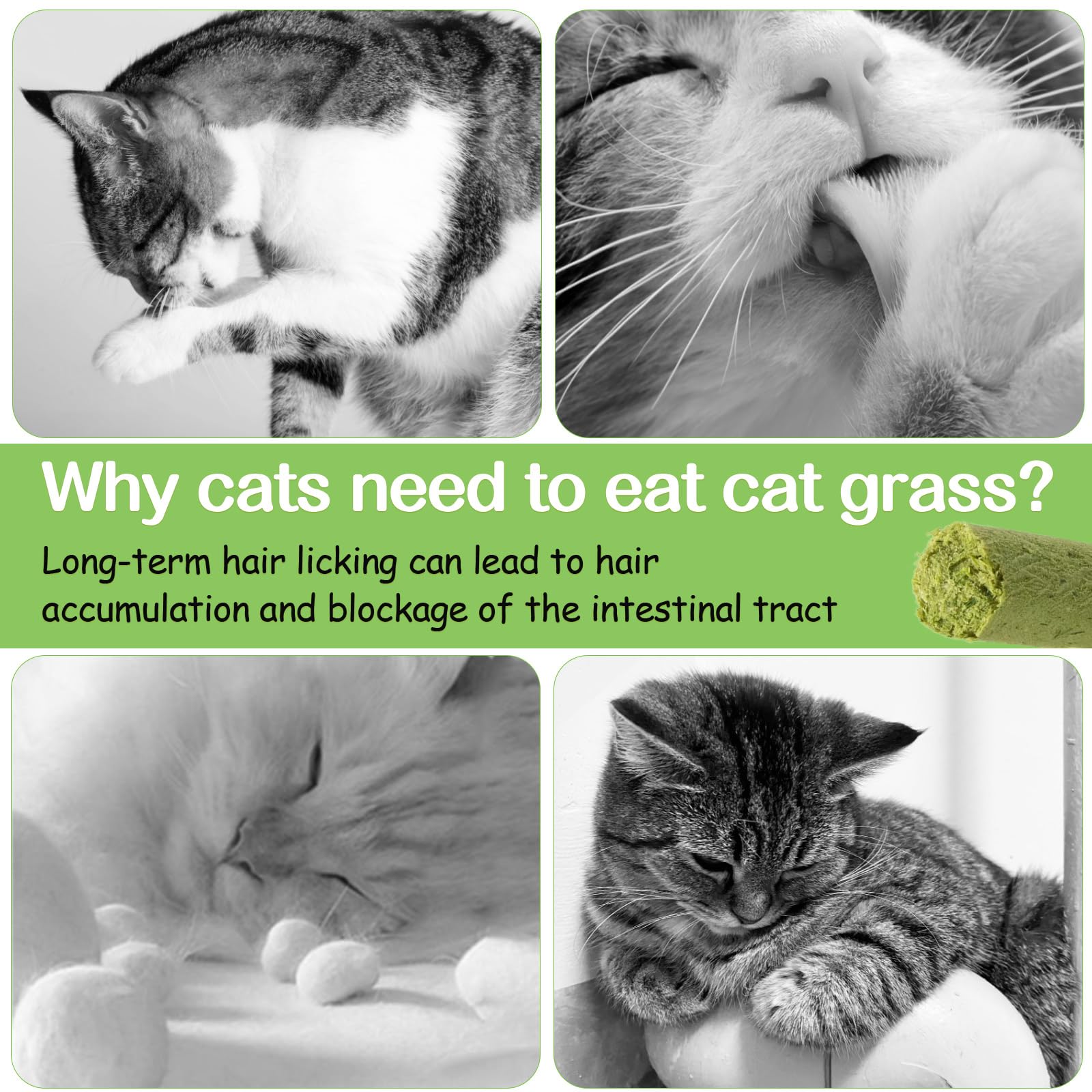 HavenJanny 100g Cat Grass Teething Stick, Freezed Drying Cat Grass Sticks Snacks for Cats, Edible Cats Treats for Teeth Cleaning