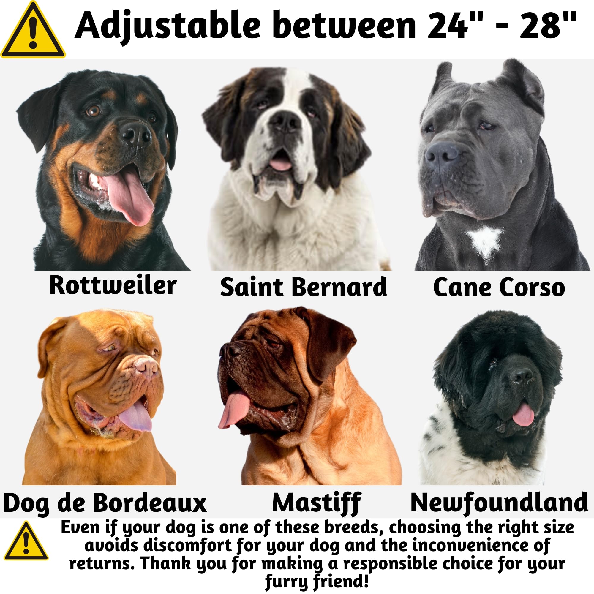 Adityna Ultra Comfortable Soft Neoprene Padded Xl Dog Collar For Extra-Large Dogs