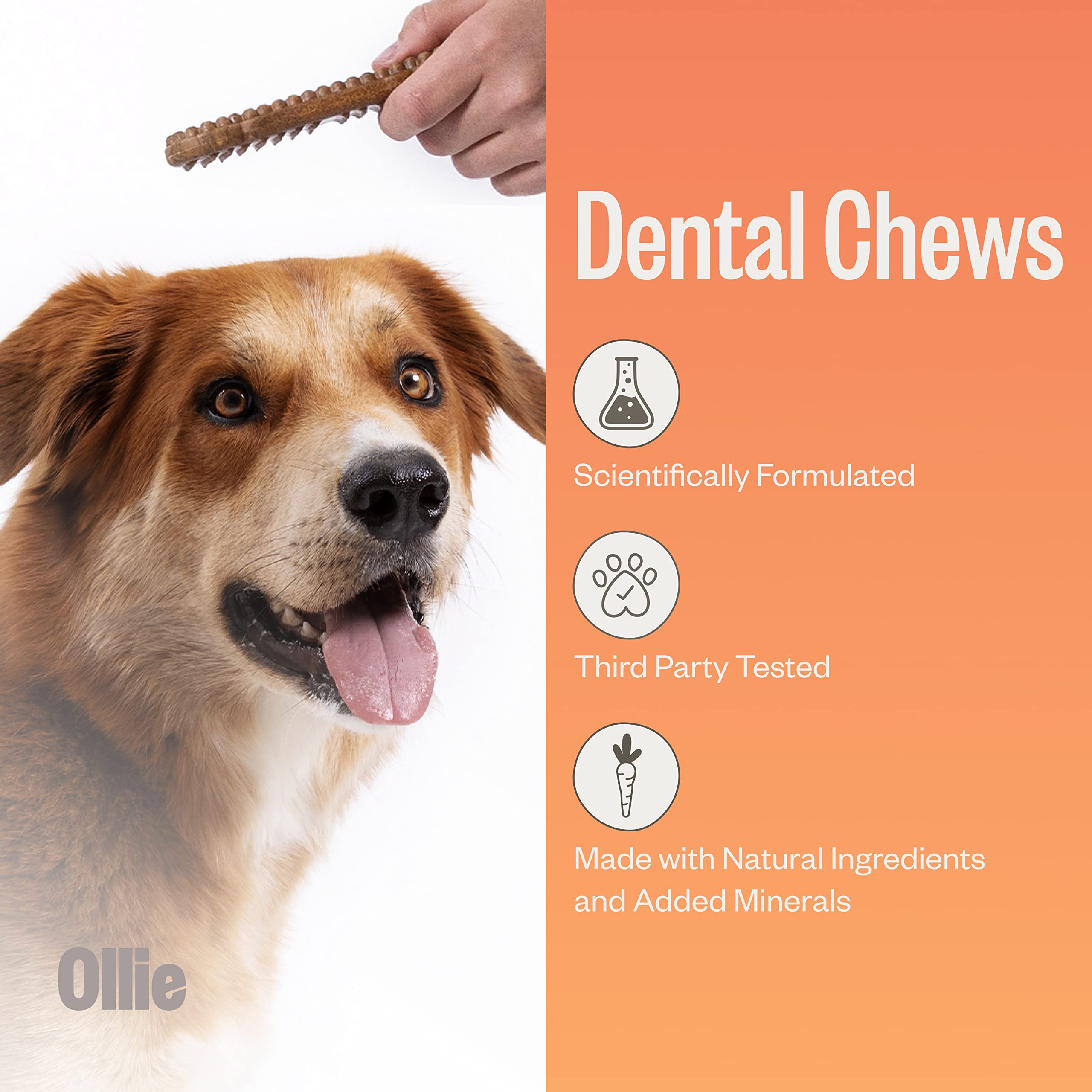 Ollie Dental Chews for Small Dogs, 12 Oz, Fresh Breath, Teeth Cleaning Treats, Sticks for Dog Oral Care, with Parsley and Cinnim