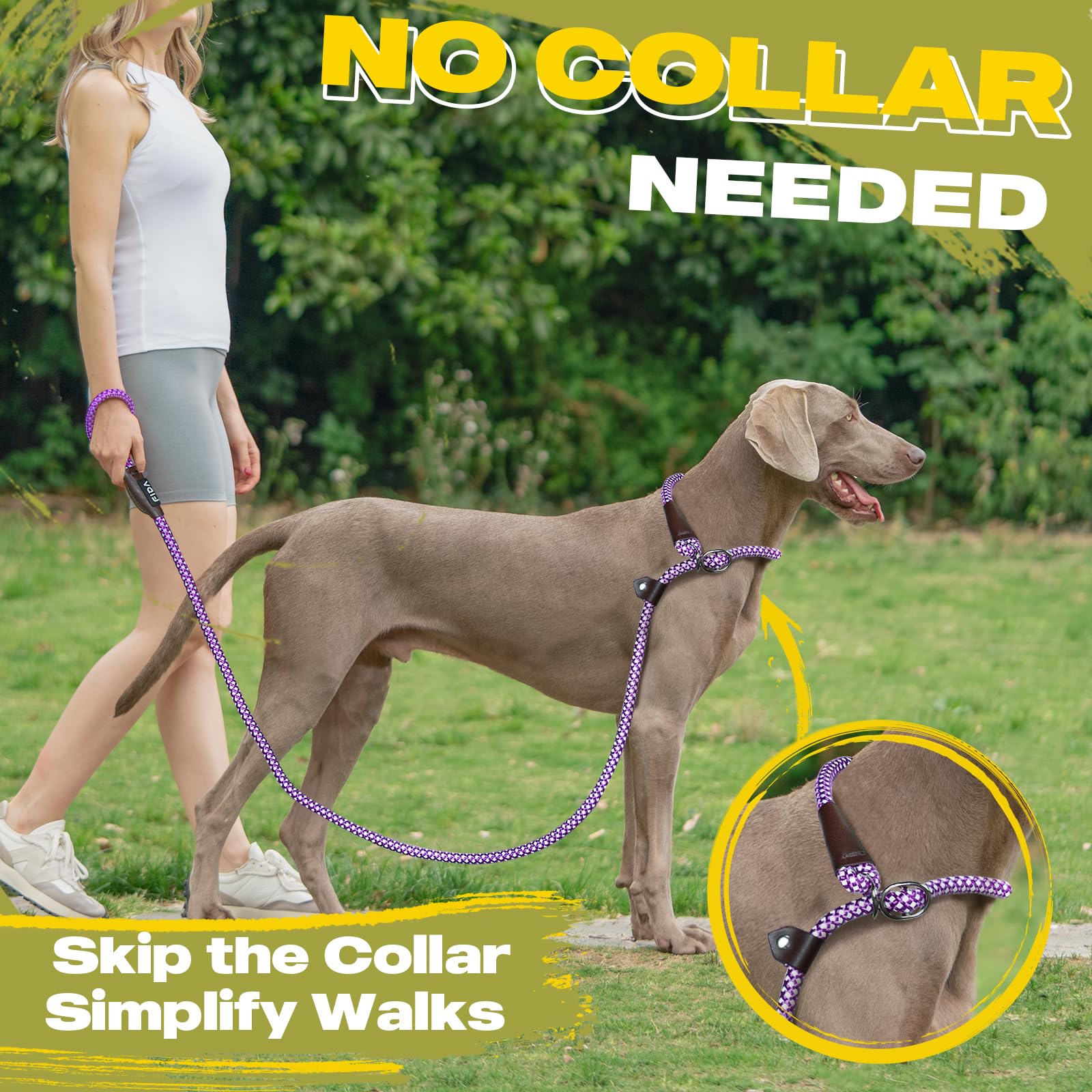 Fida Durable Slip Lead Dog Leash, 6 FT x 1/2", Heavy Duty Nylon, Purple, No Pull Leash for Large/Medium Dogs