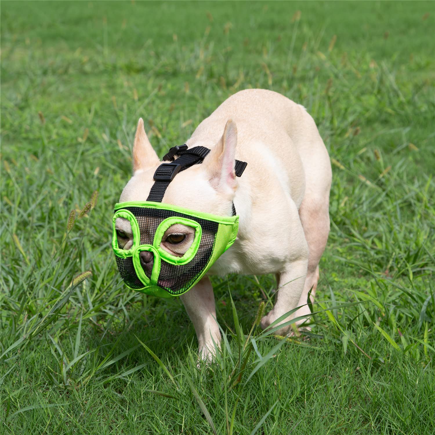 Jyhy Short Snout Dog Muzzles- Adjustable Breathable Mesh Bulldog Muzzle For Biting Chewing Training Grooming Dog Mask,Green L