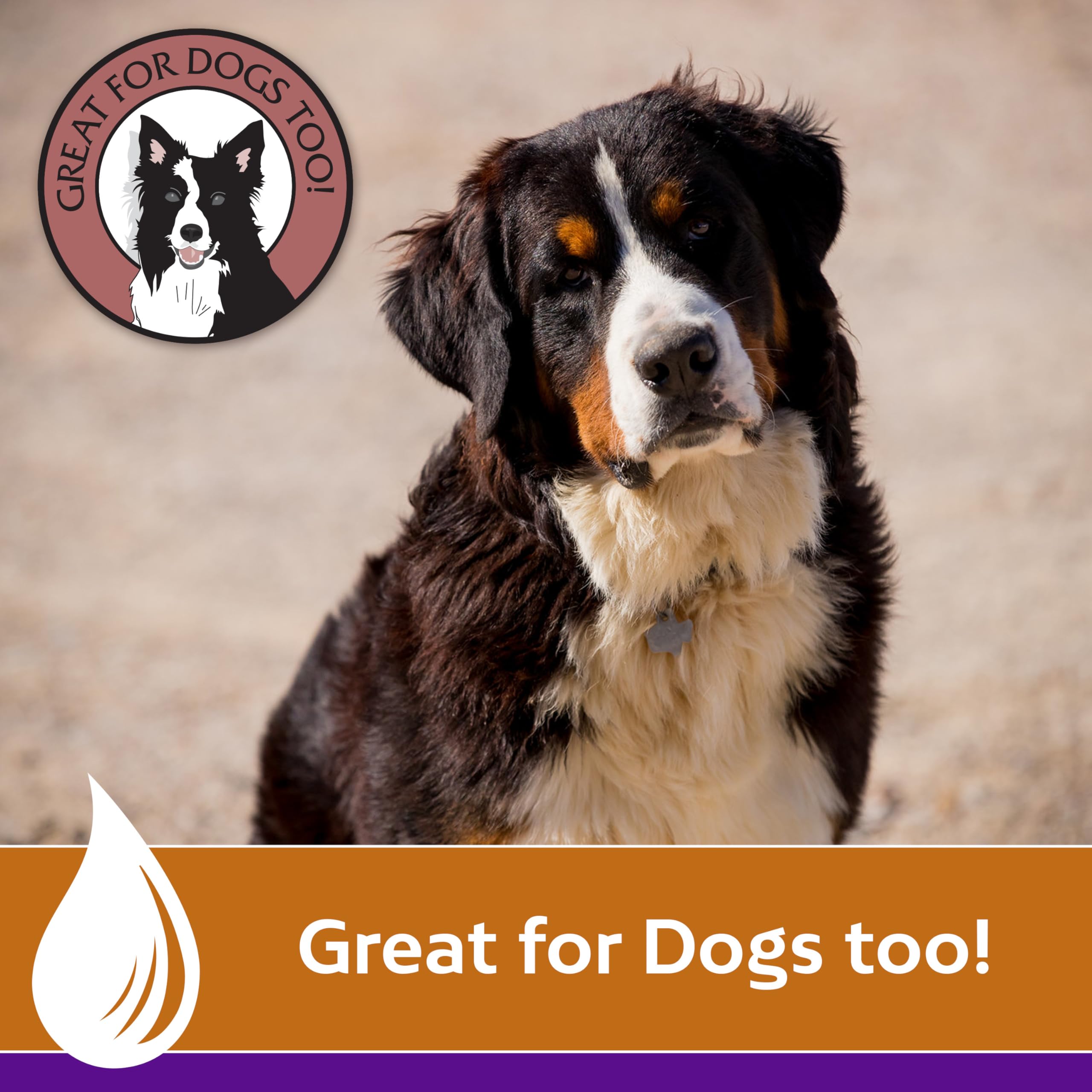 Farnam Vetrolin Shine Coat Conditioner & Shine Spray for Horses & Dogs 64 Ounces