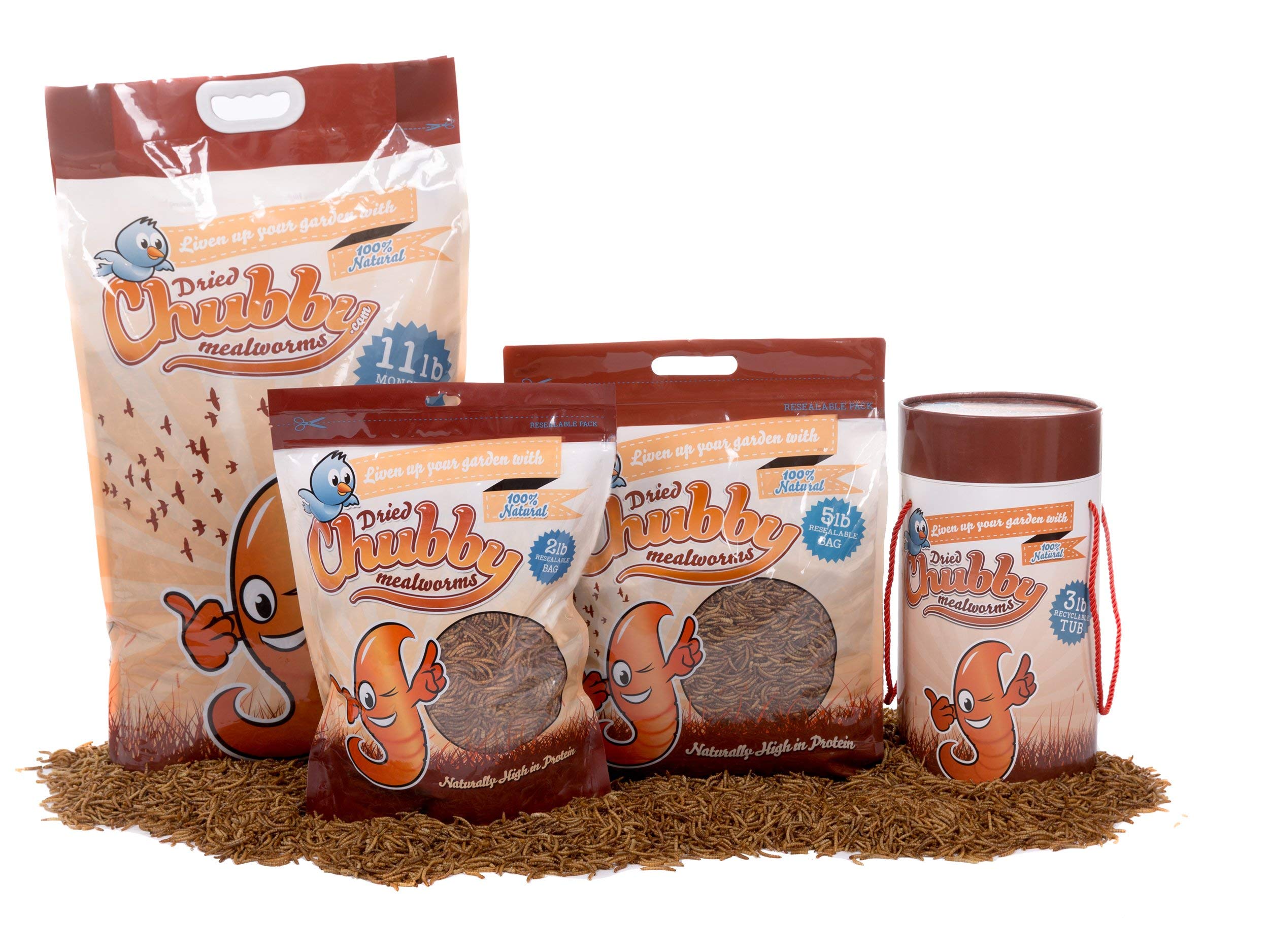 Chubby Dried Mealworms | 2  lbs | High-Protein Non-GMO Treats for Chickens, Ducks, Wild Birds & Backyard Pets