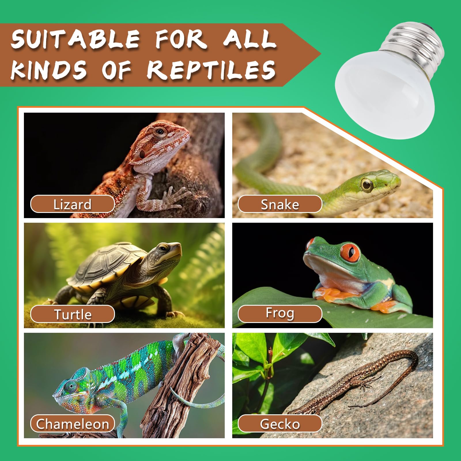 LUCKY HERP 40W Heat Lamp Bulbs 2 Pack - Daylight Basking Spot Light for Reptiles, Amphibians, Chameleons, Snakes, Lizards, Turtl