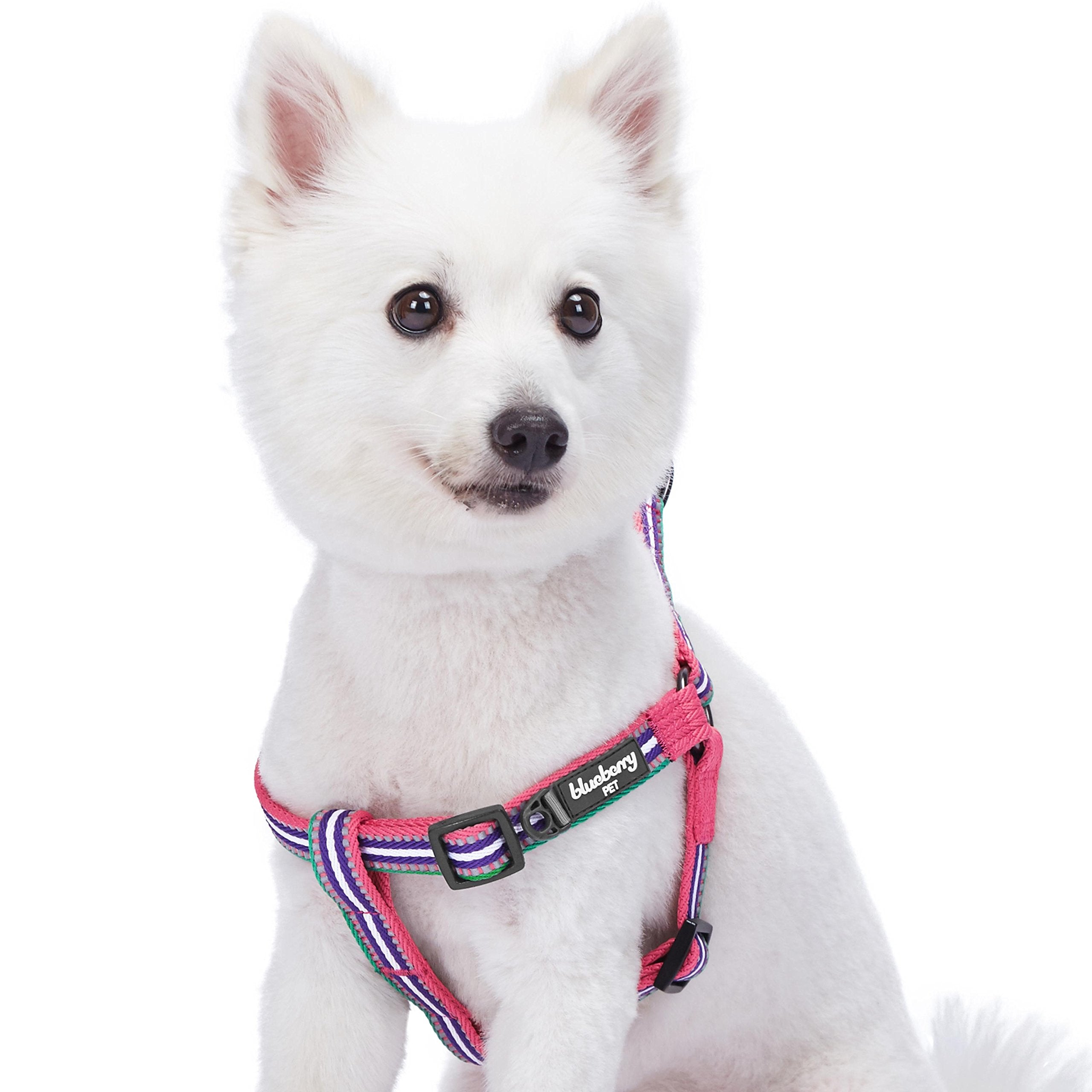 Blueberry Pet 5 Colors Step-in 3M Reflective Multi-Colored Stripe Padded Dog Harness, Chest Girth 26 - 39, Pink, Emerald & Orchi