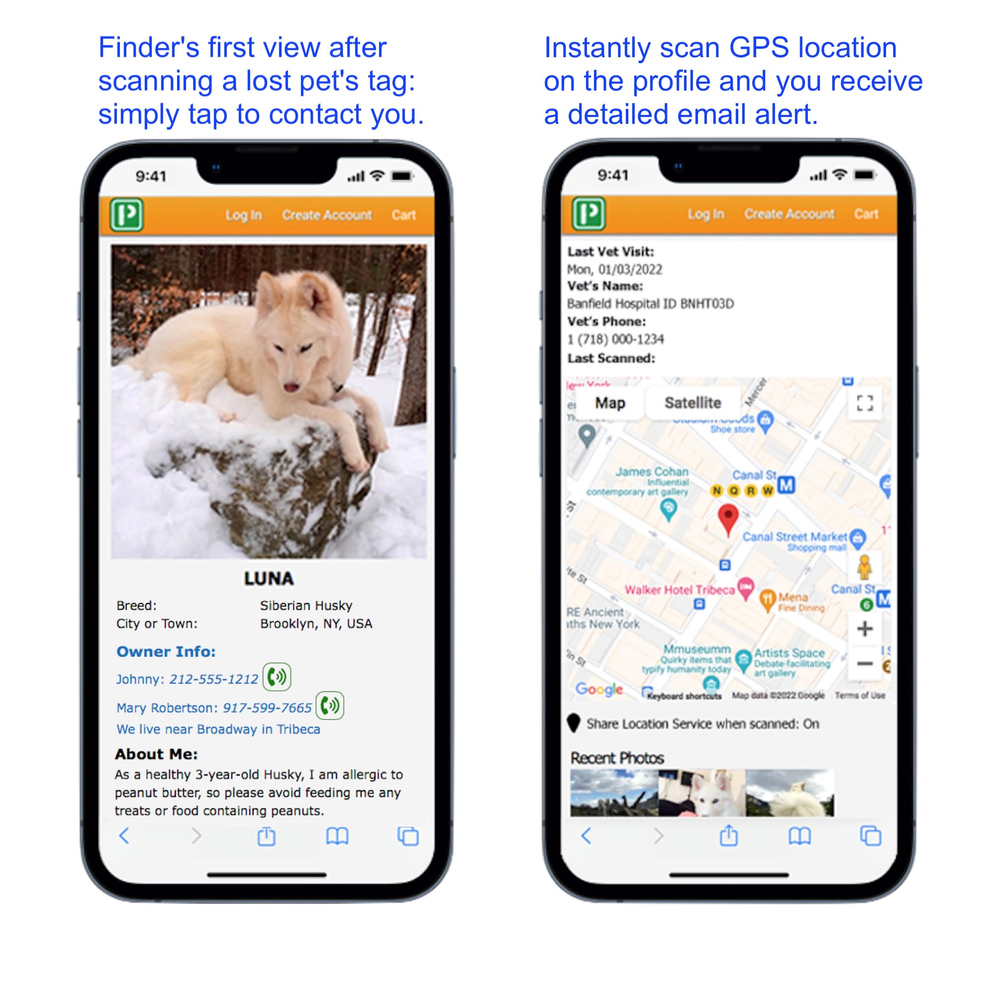 Pet Dwelling Premium Nfc-Qr Code Pet Id Tags - Dog Tags And Cat Tags, Connect To Online Pet Profile, Receive Instant Scanned Location Email Alert(Blue Paw)