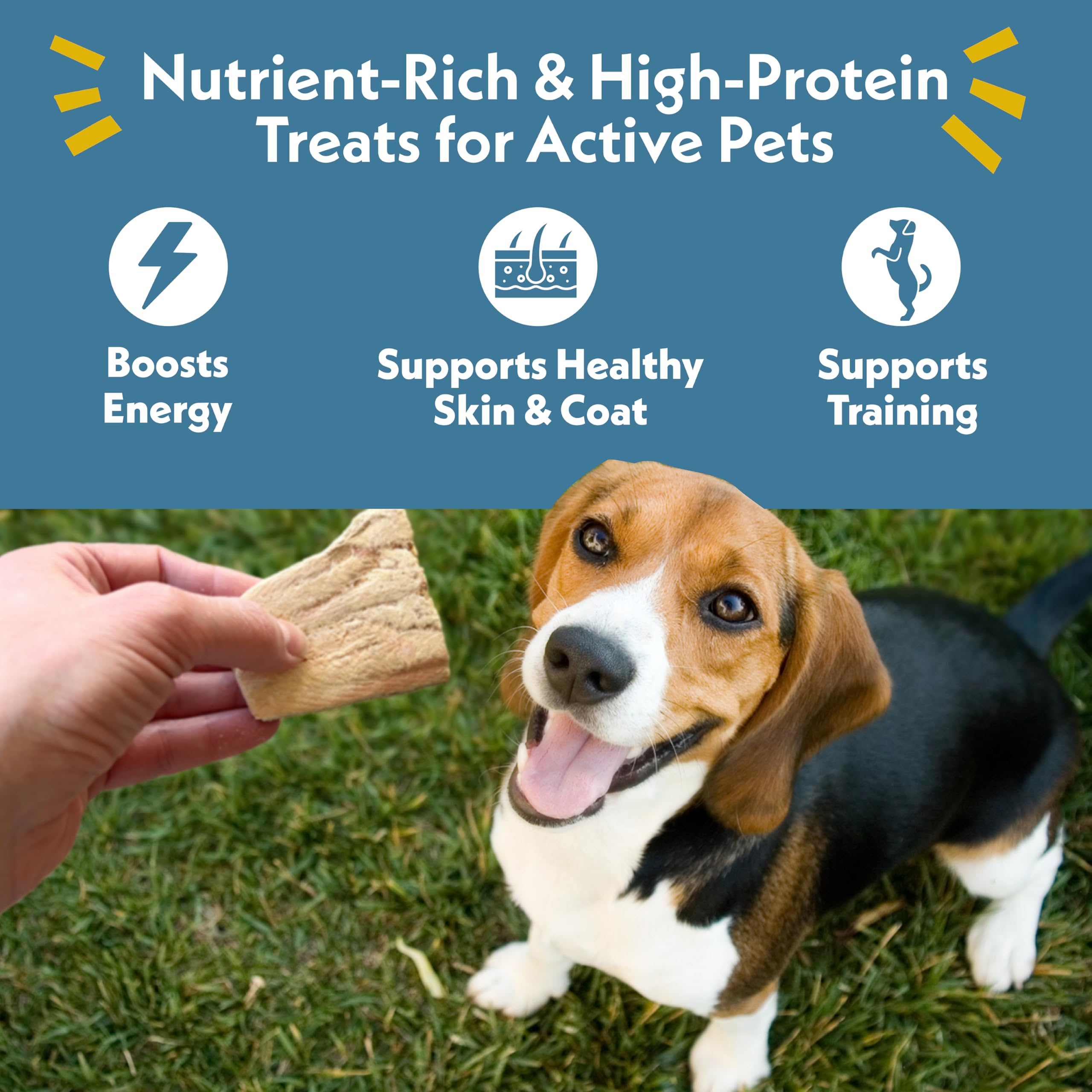 Fresh Is Best - Freeze Dried Healthy Raw Meat Treats for Dogs & Cats - Wild Salmon Fillets