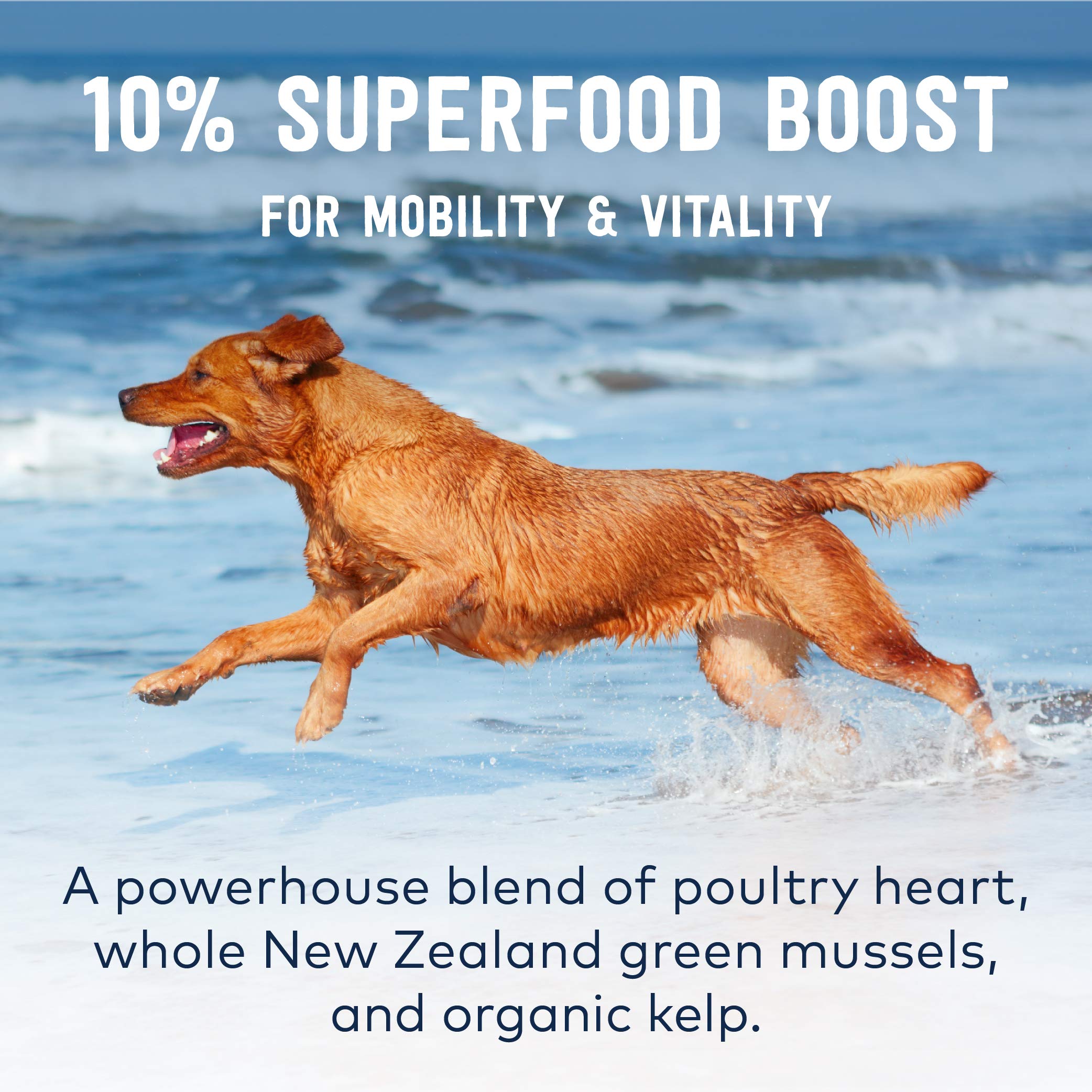 ZIWI Peak Air-Dried Dog Food - Chicken - All Natural, High Protein, Grain Free, Limited Ingredient w/ Superfoods (35.2oz)