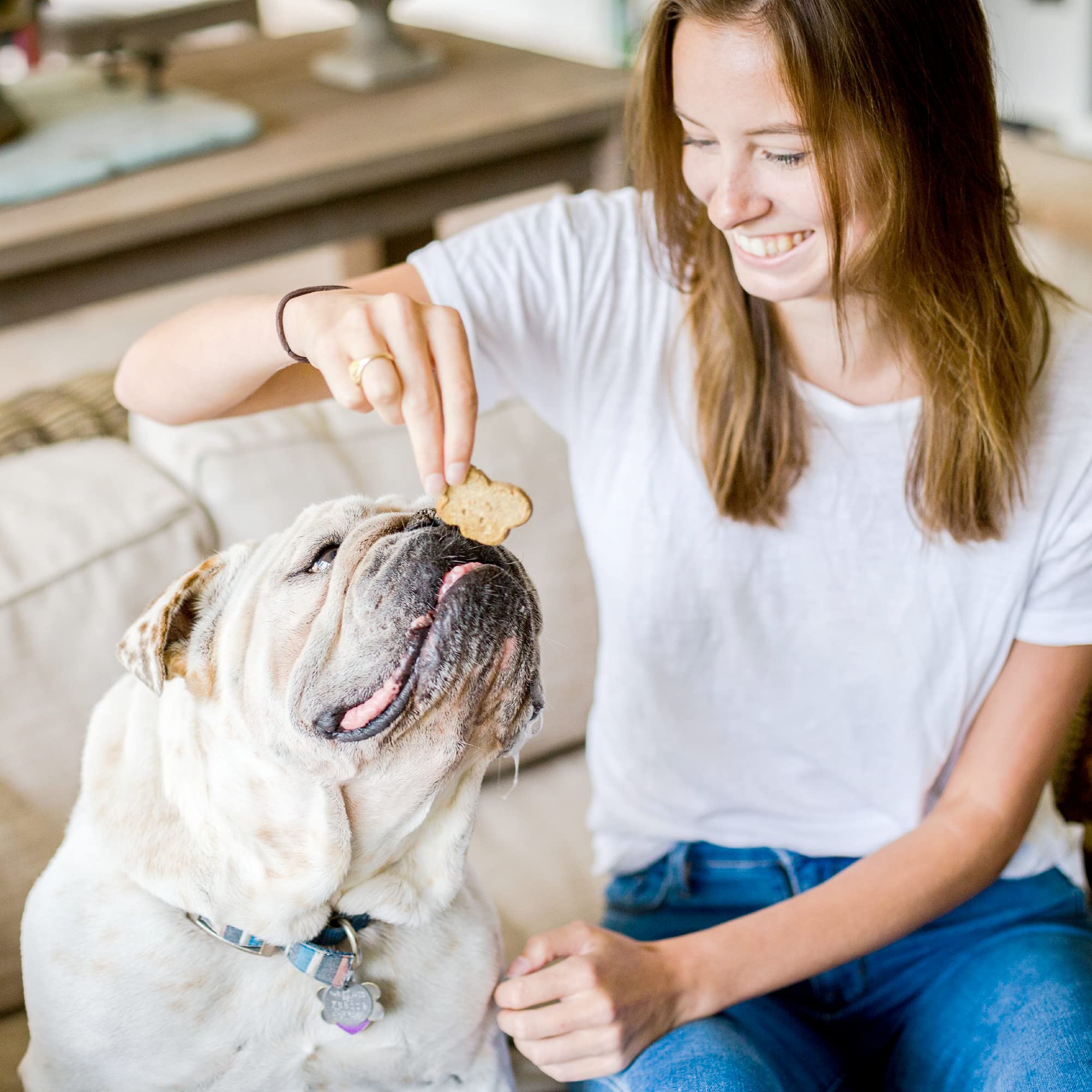 Cloud Star Wag More Bark Less Crunchy Grain Free Dog Treats, Cheddar Cheese, 14 oz. Box