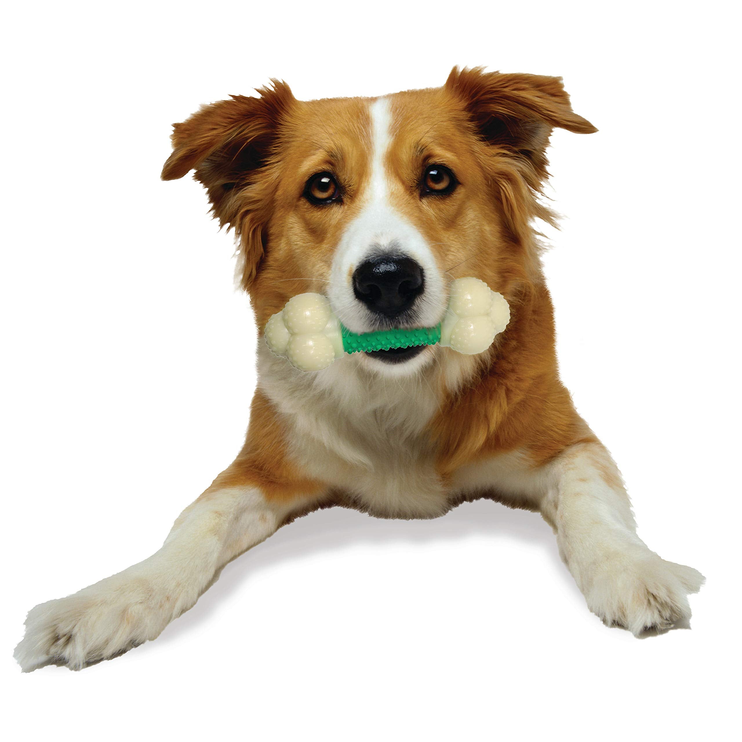 Nylabone Double Action Bone Power Chew Toy For Dogs, Rubber Dog Toys For Moderate & Aggressive Chewers, Bacon Flavor, Medium - Up To 35 Lbs, 1 Count