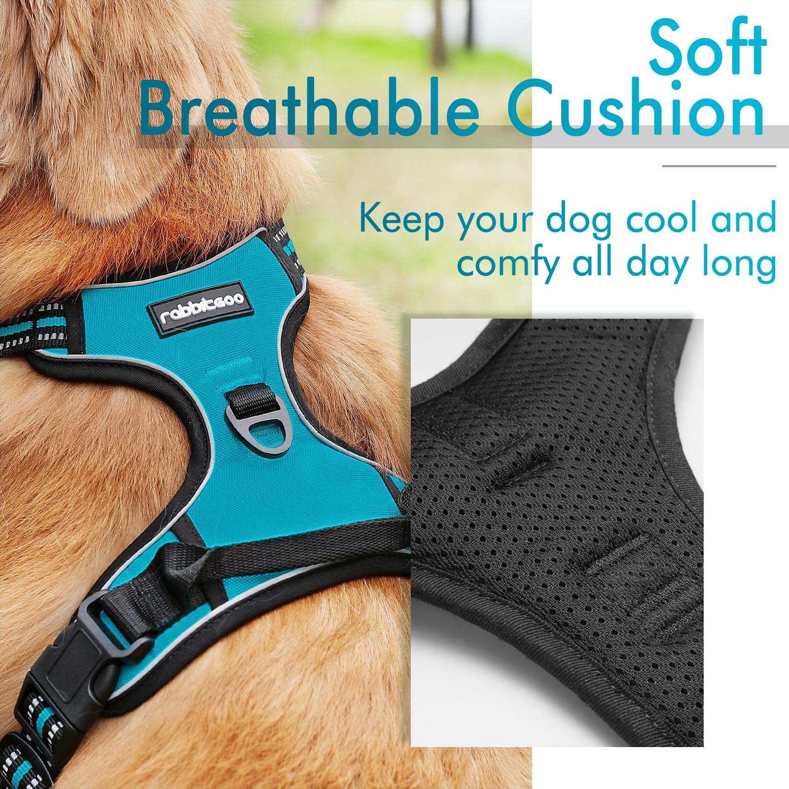Rabbitgoo Dog Harness, No-Pull Pet Harness With 2 Leash Clips, Adjustable Soft Padded Dog Vest, Reflective No-Choke Pet Oxford Vest With Easy Control Handle For Large Dogs, Teal, Xl