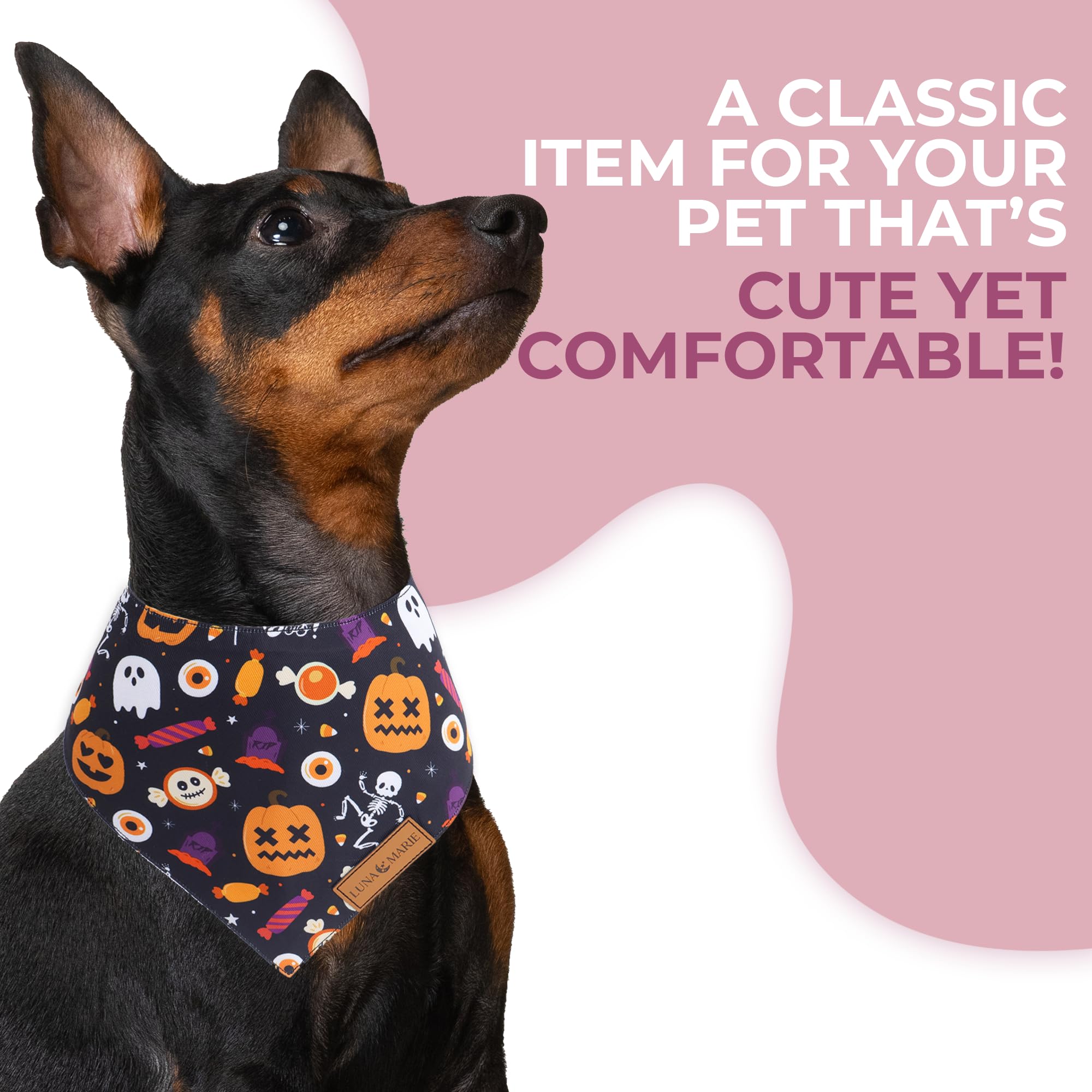 Lunamarie - Luxury Cat And Dog Bandanas - Halloween Designs | Premium Silky Poly Fabric | 100% Handmade Custom Shape Dual Layered Small, Medium, Large Cat Scarf (Trick-Or-Treat, Small)