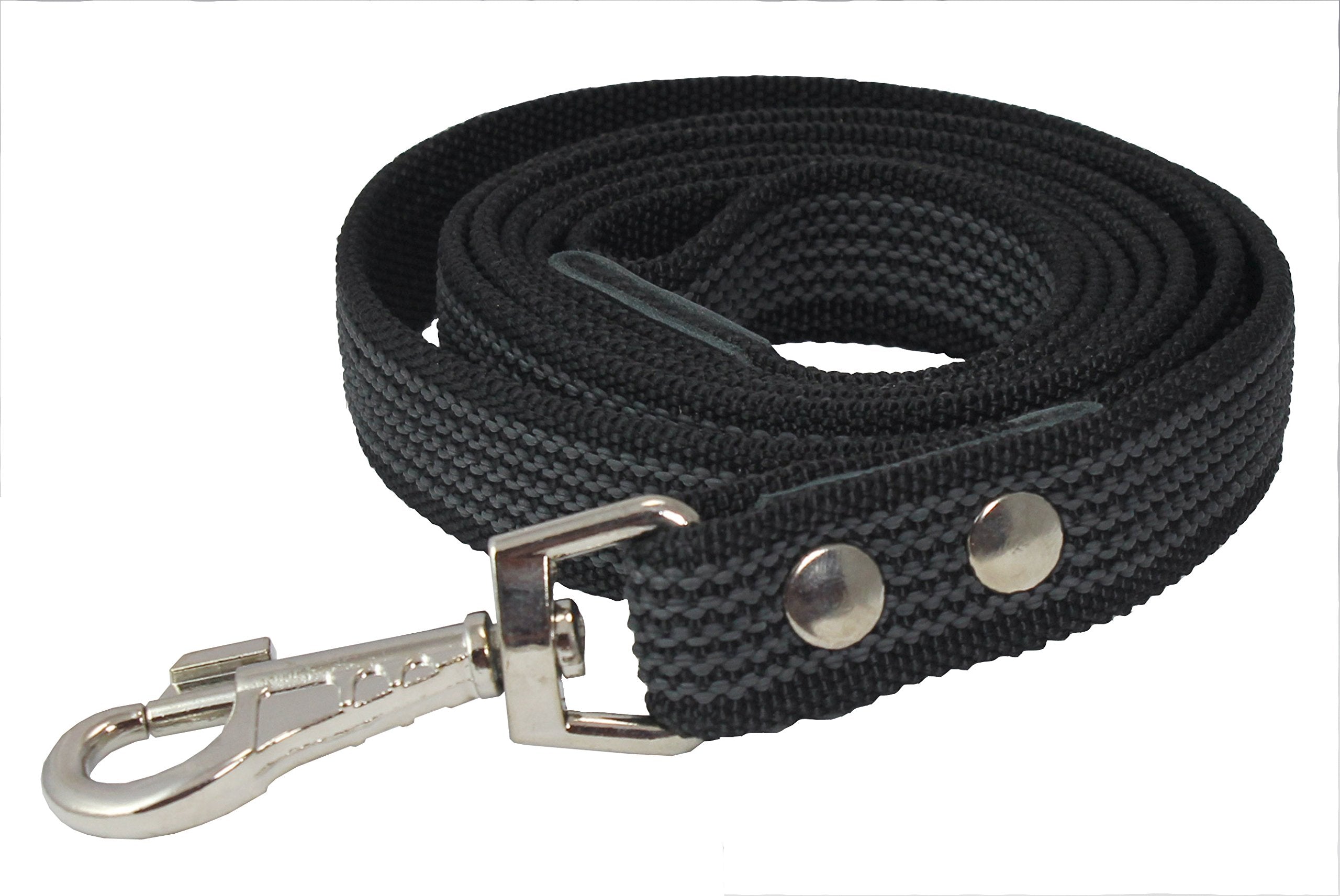 6Ft Latex Enforced Dog Leash (Large (1' Wide))