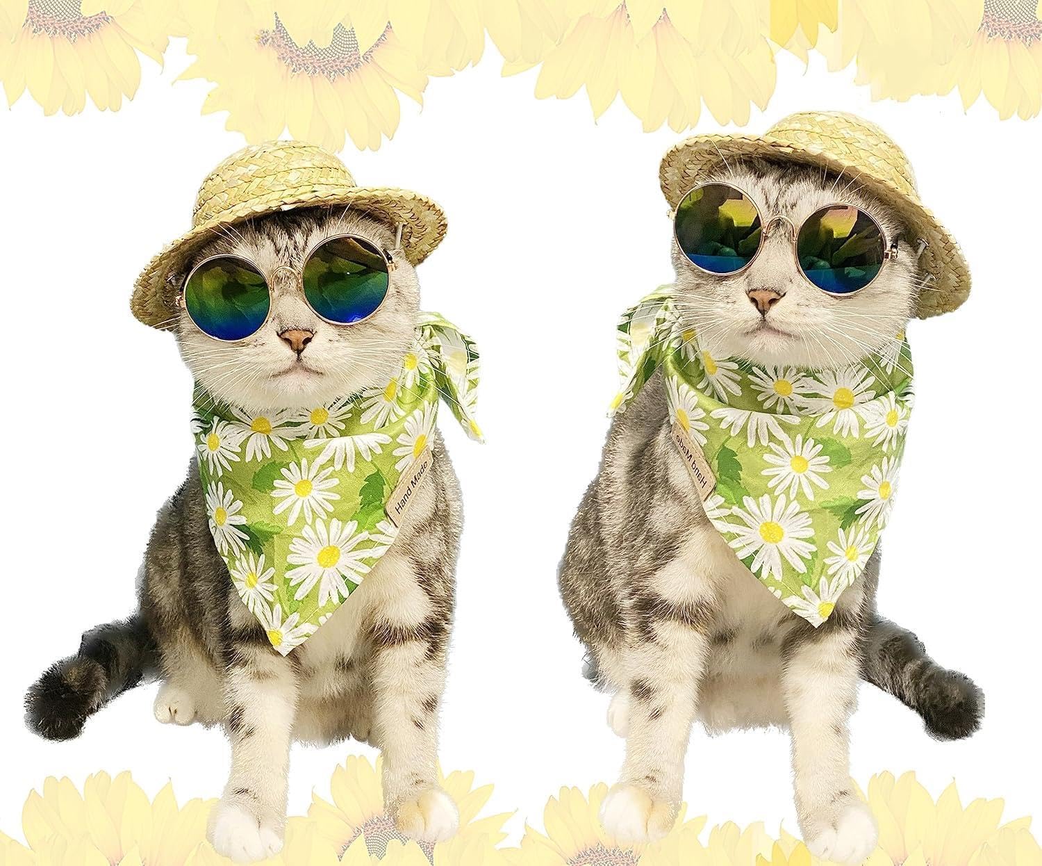 Hawaiian Costume For Dog Hawaiian Bandanna Summer Hat For Dog Sunflower Pet Bandanna Pet Sunglasses Summer Costume For Cat Hawai
