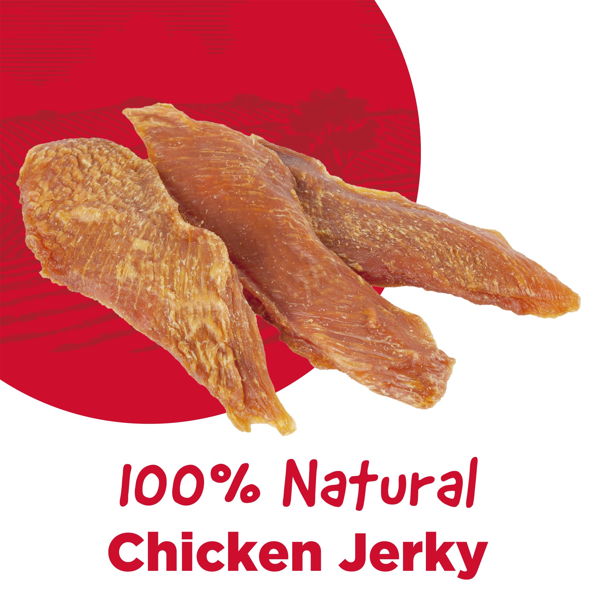 Country Kitchen Chicken Jerky Tender Dog Treats, Made with Real Chicken, High Protein, Low Fat, No Artificial Colors, 32 oz