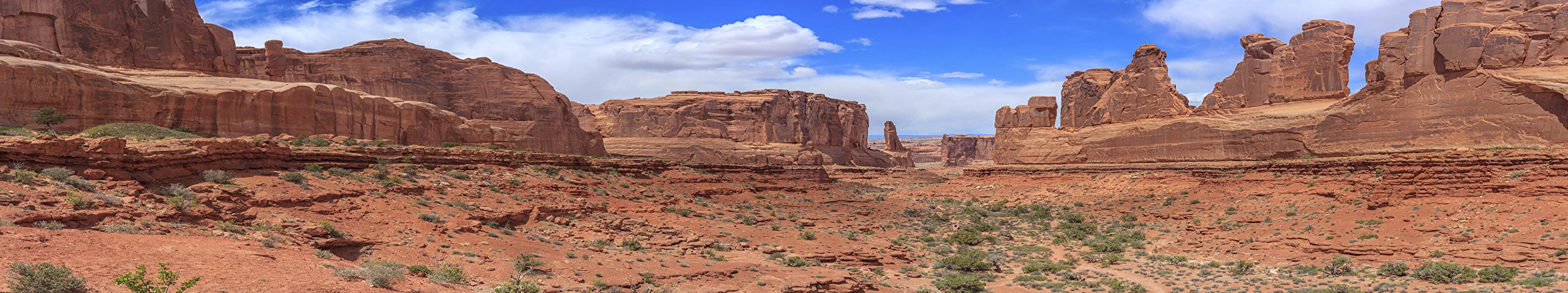 Carolinacustomcages Reptile Habitat Background; Arches' Park Avenue For 20L, 3-Sided Wraparound