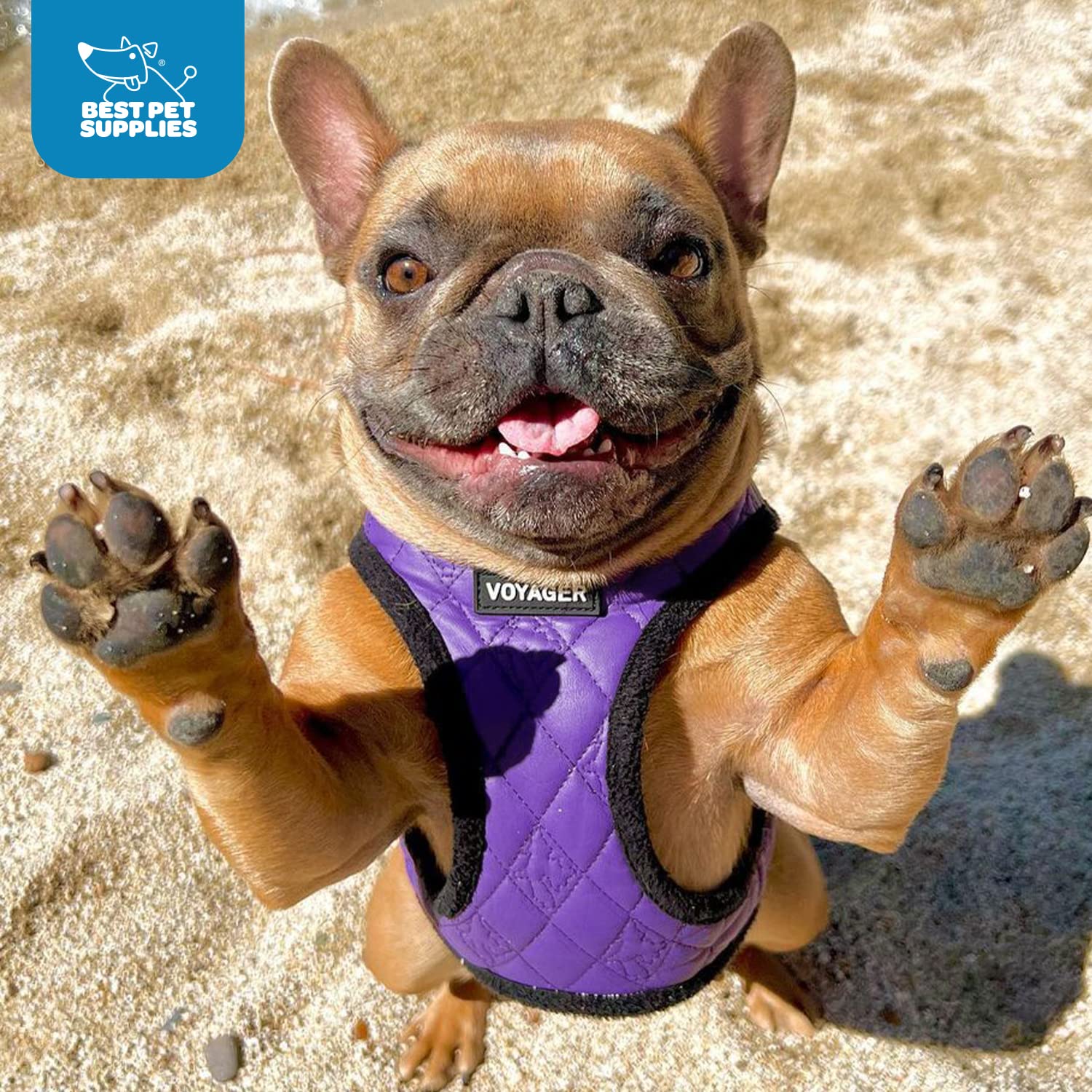 Voyager Step-In Plush Dog Harness - Soft Plush, Step In Vest Harness For Small And Medium Dogs By Best Pet Supplies - Purple Faux Leather, Xl (Chest: 20.5 - 23')