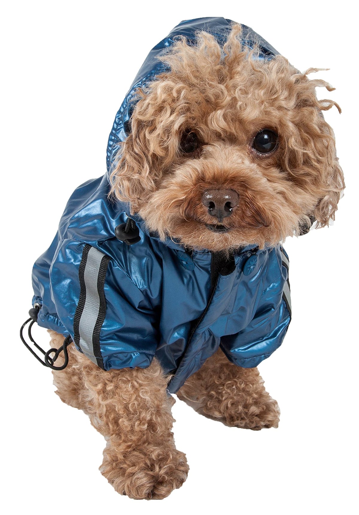 Pet Life All Weather Casual Windbreaker: Dark Blue, Medium