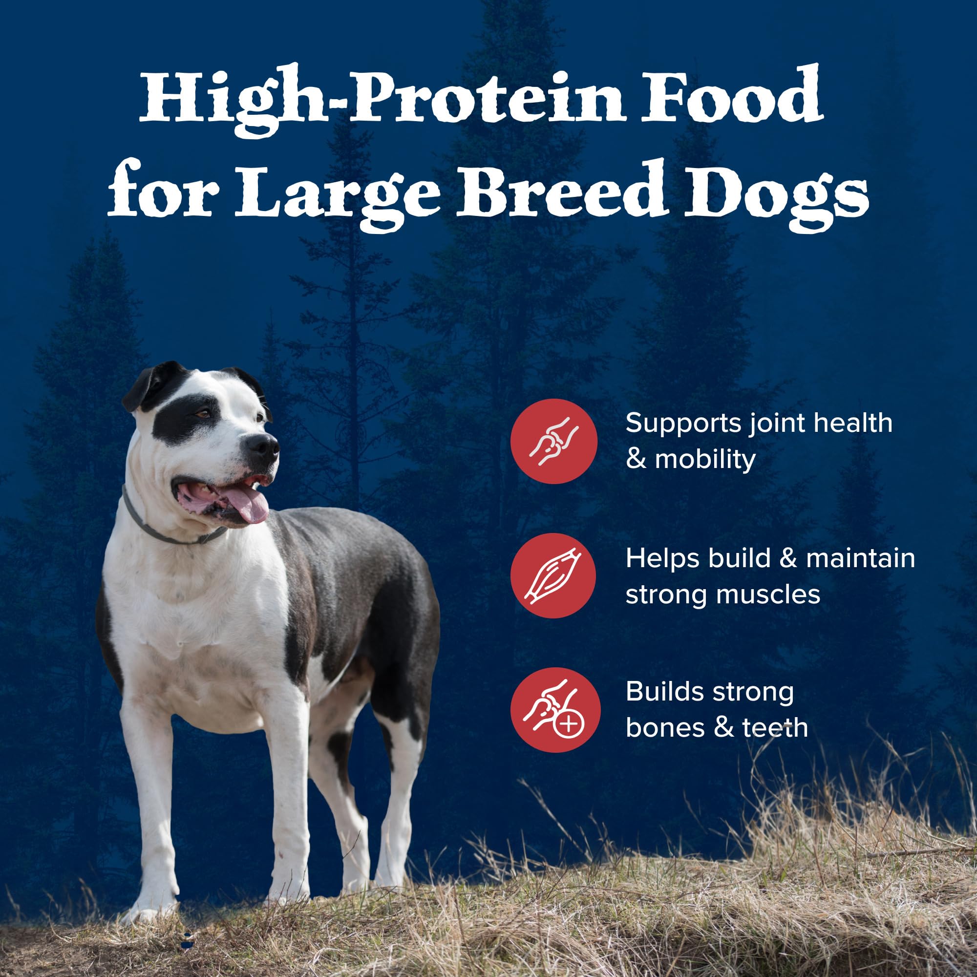 Blue Buffalo Wilderness Rocky Mountain Recipe High-Protein Large Breed Adult Dry Dog Food, Made in the USA with Natural Ingredie