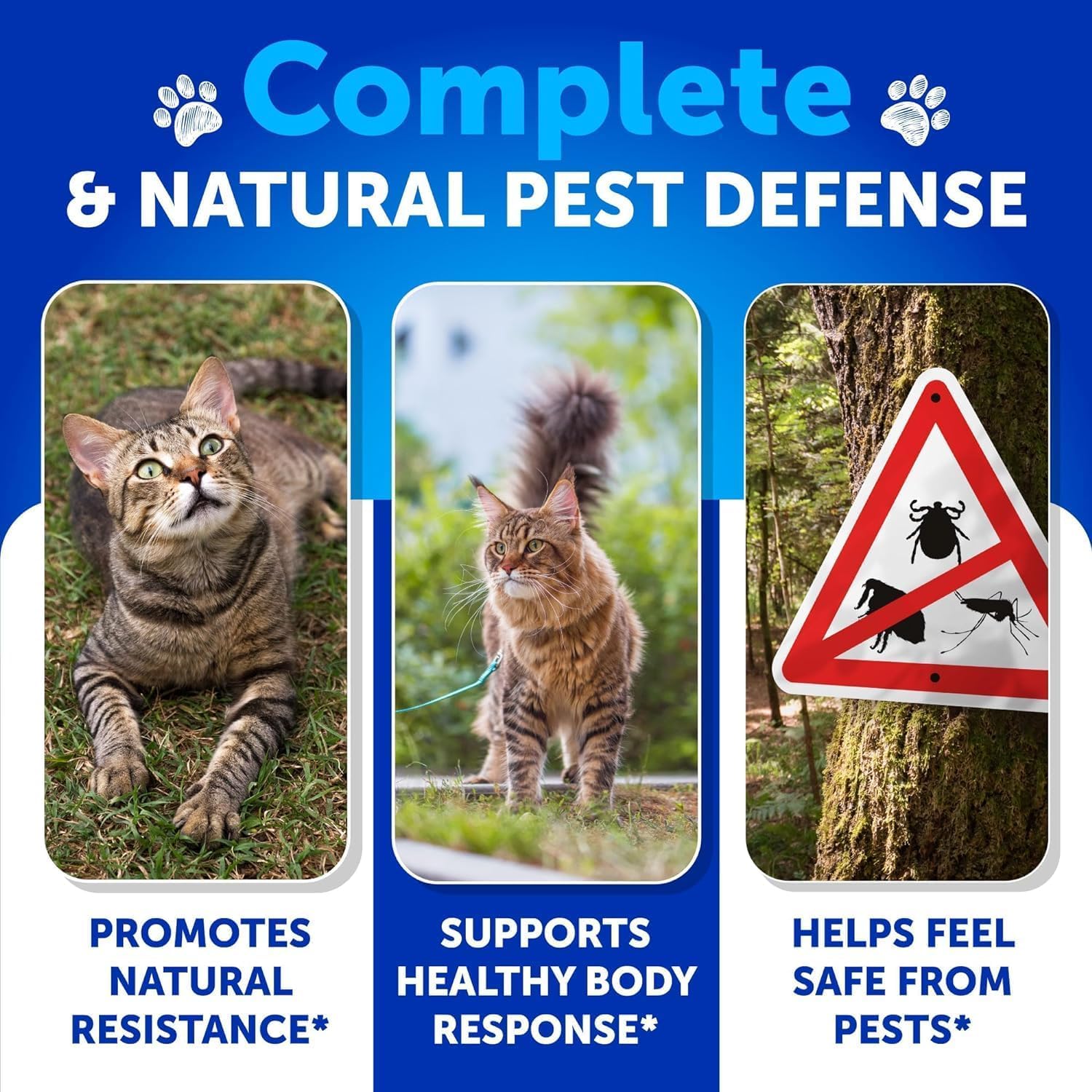 Flea Treatment for Cats - Natural Flea and Tick Prevention Supplement for Cats, Kittens - Chewable Daily Oral Pills with Vitamin
