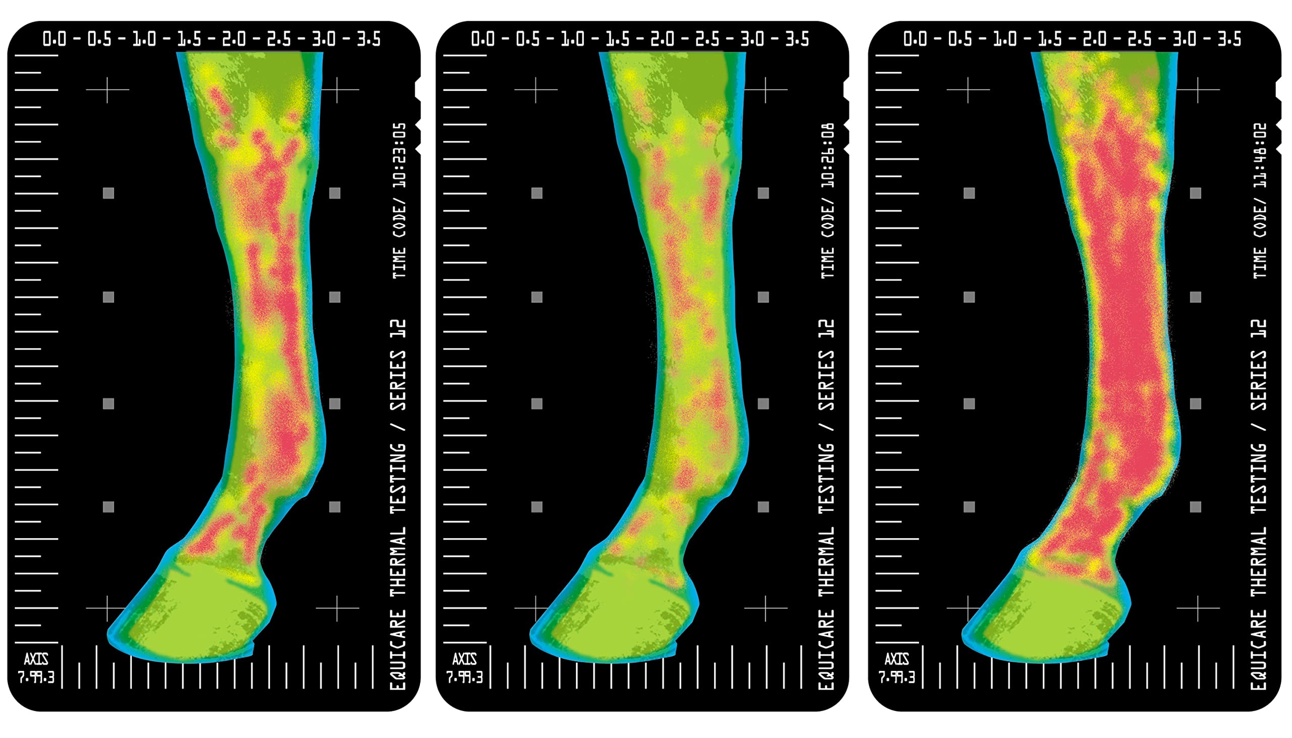 Vita Flex Thermaflex Liniment Gel for Horses - Sore Muscle & Joint Relief, 12 Ounce