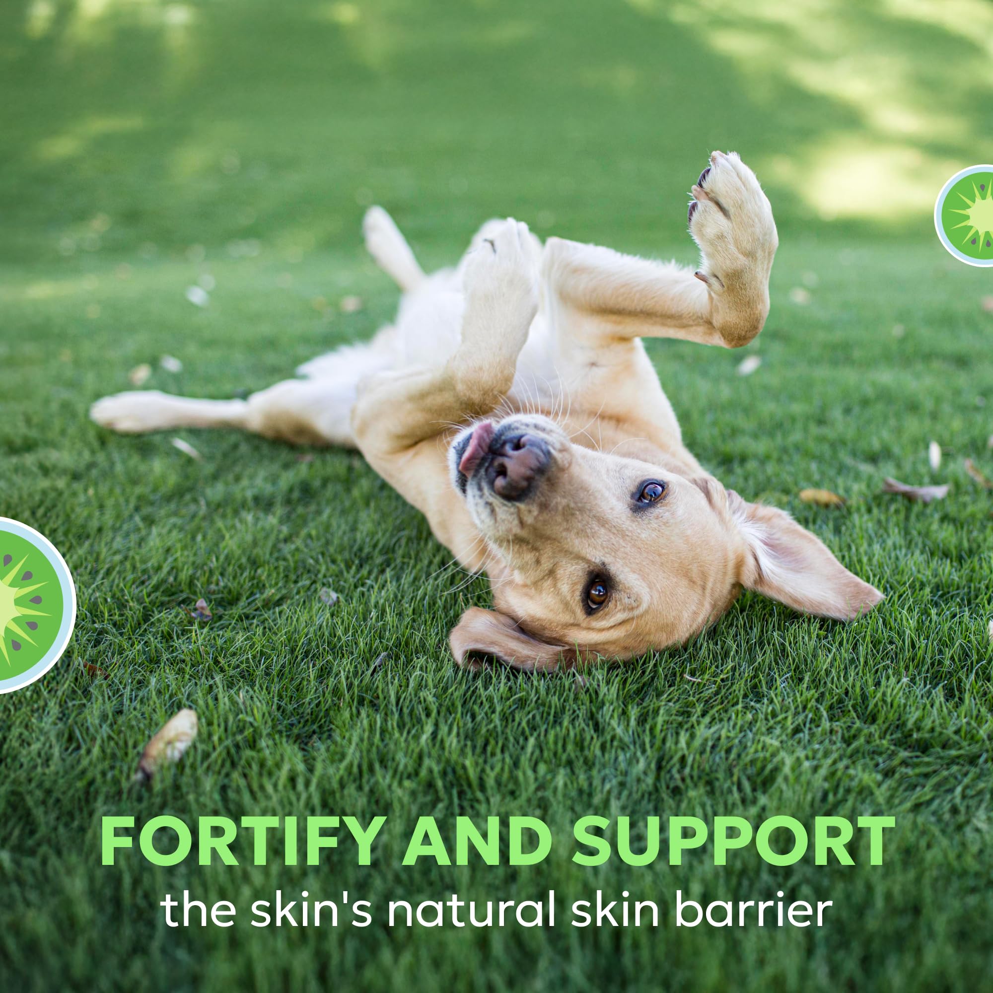 Nutramax Dermaquin Skin Support Supplement for Large Dogs, Supports Healthy Response to Allergens, with Hardy Kiwi, Omega-3s, an