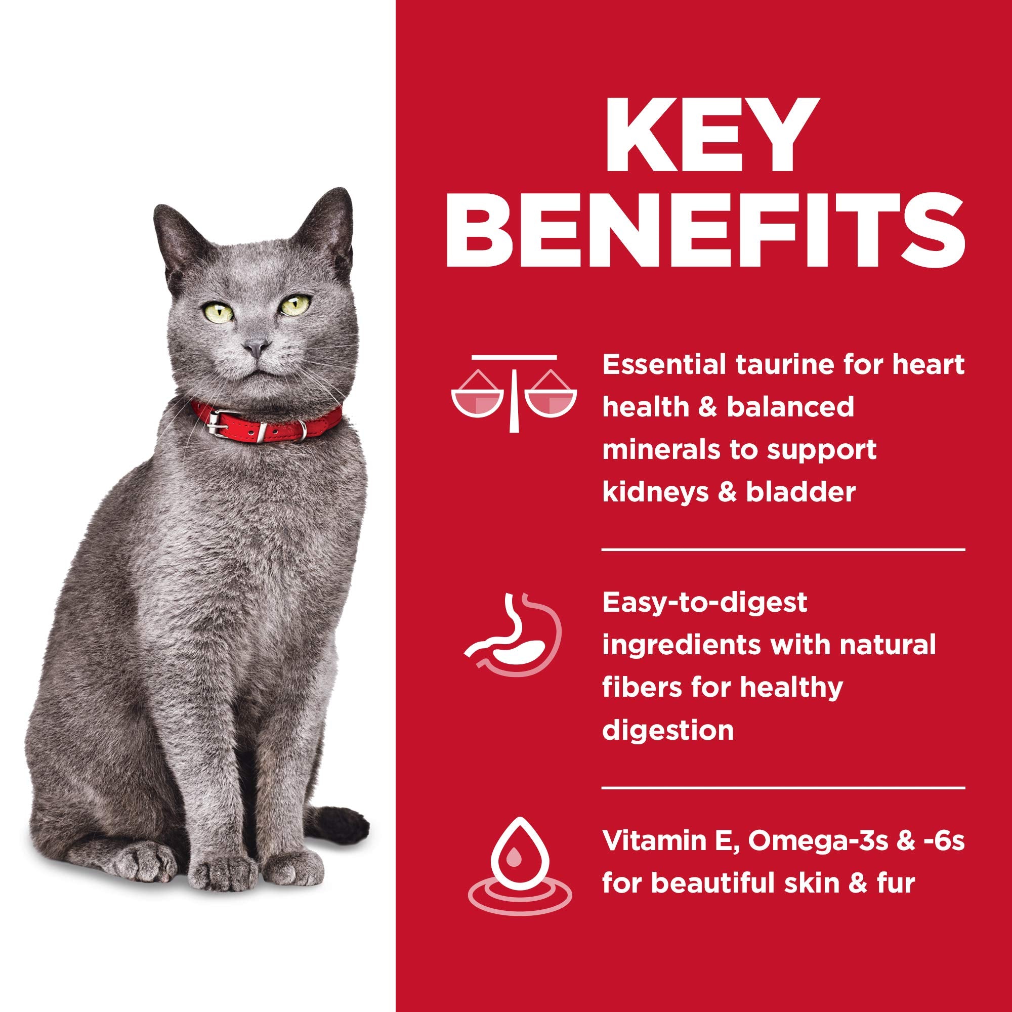 Hills Science Diet Adult 7+, Senior Adult 7+ Premium Nutrition, Dry Cat Food, No Corn, Wheat, Soy Chicken & Brown Rice, 3.5 lb