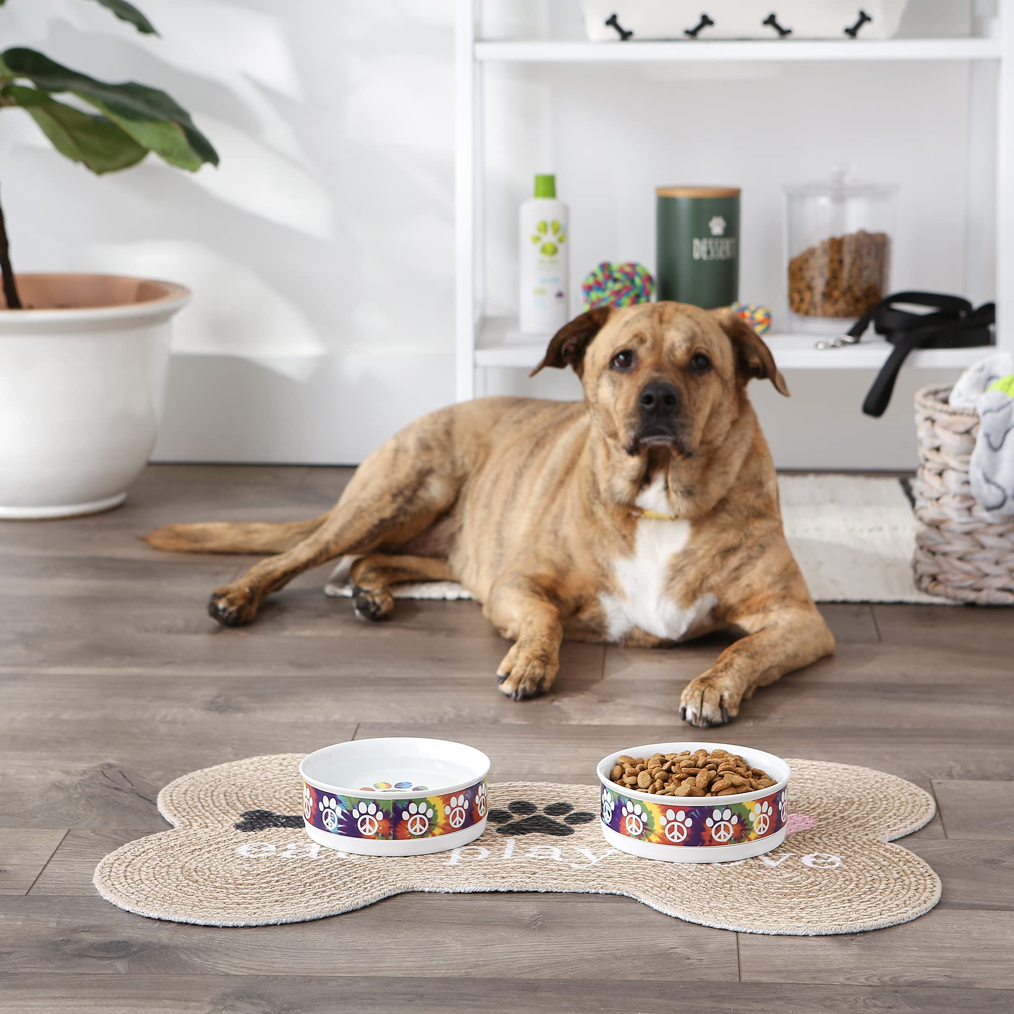 DII Pet Bowl Peace Paw, Medium 6Dx2H (Set of 2)