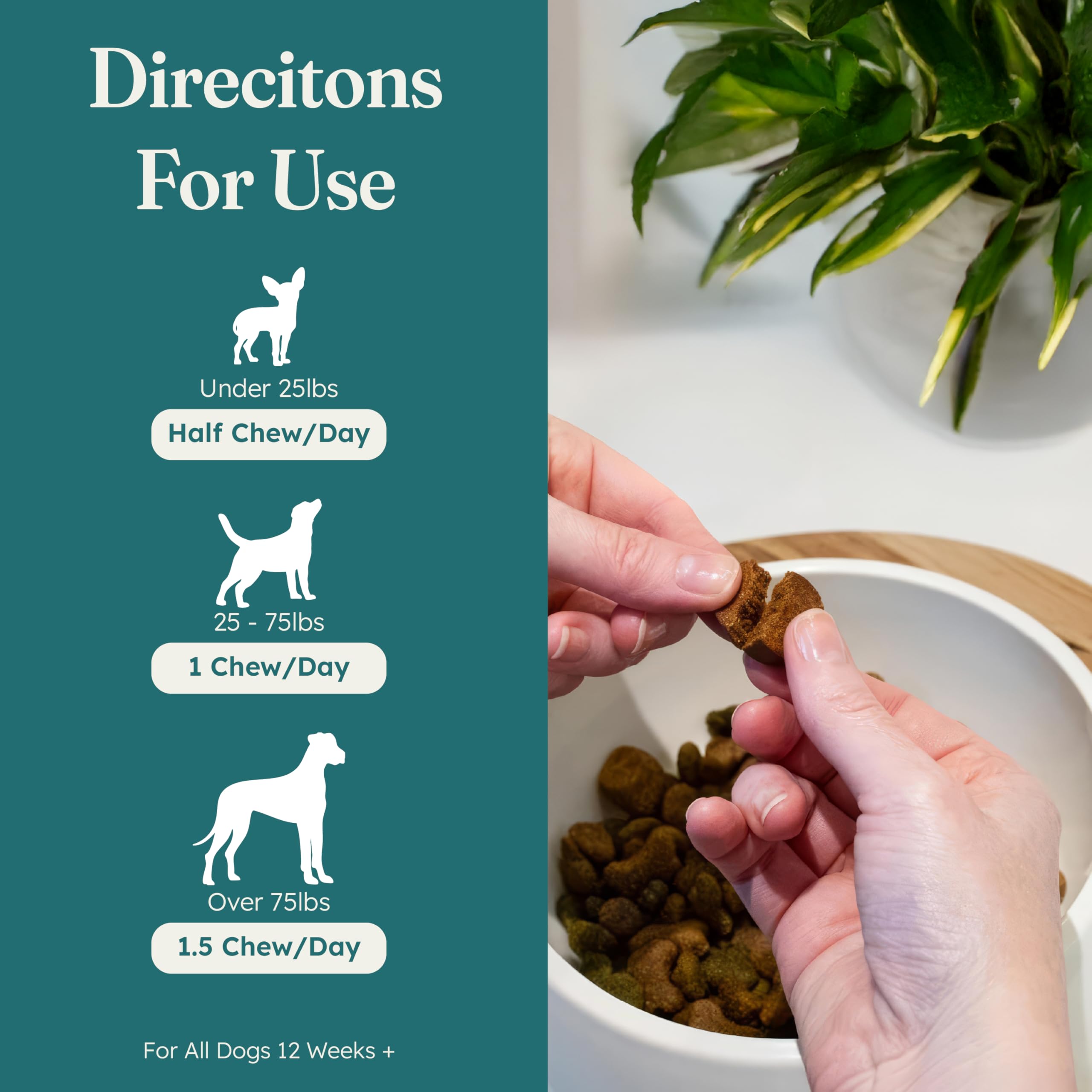 PetHeal Allergy Guard Chews for Dogs - 30 Soft Chews with Colostrum, Salmon Oil & Probiotics - Supports Immune & Skin Health