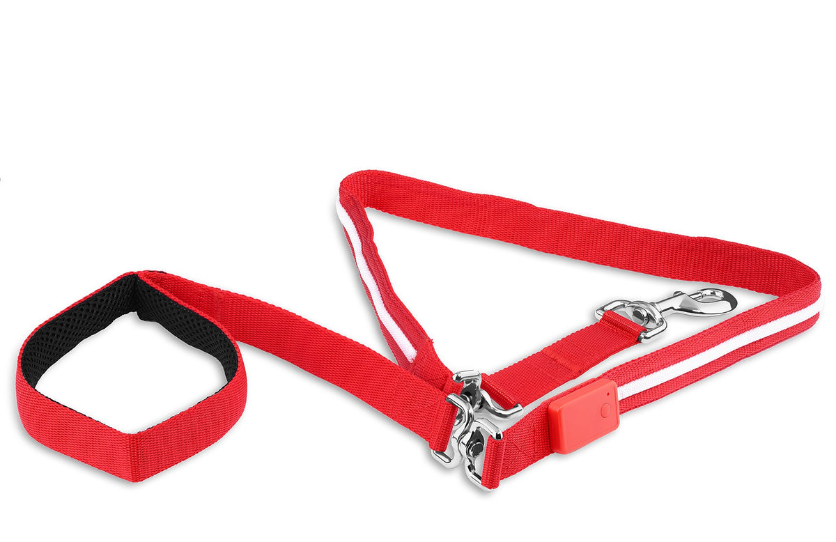 Blazin' Safety Led Dog Leash - Usb Rechargeable Light, 6 Ft, Waterproof - Avoid Danger - Red