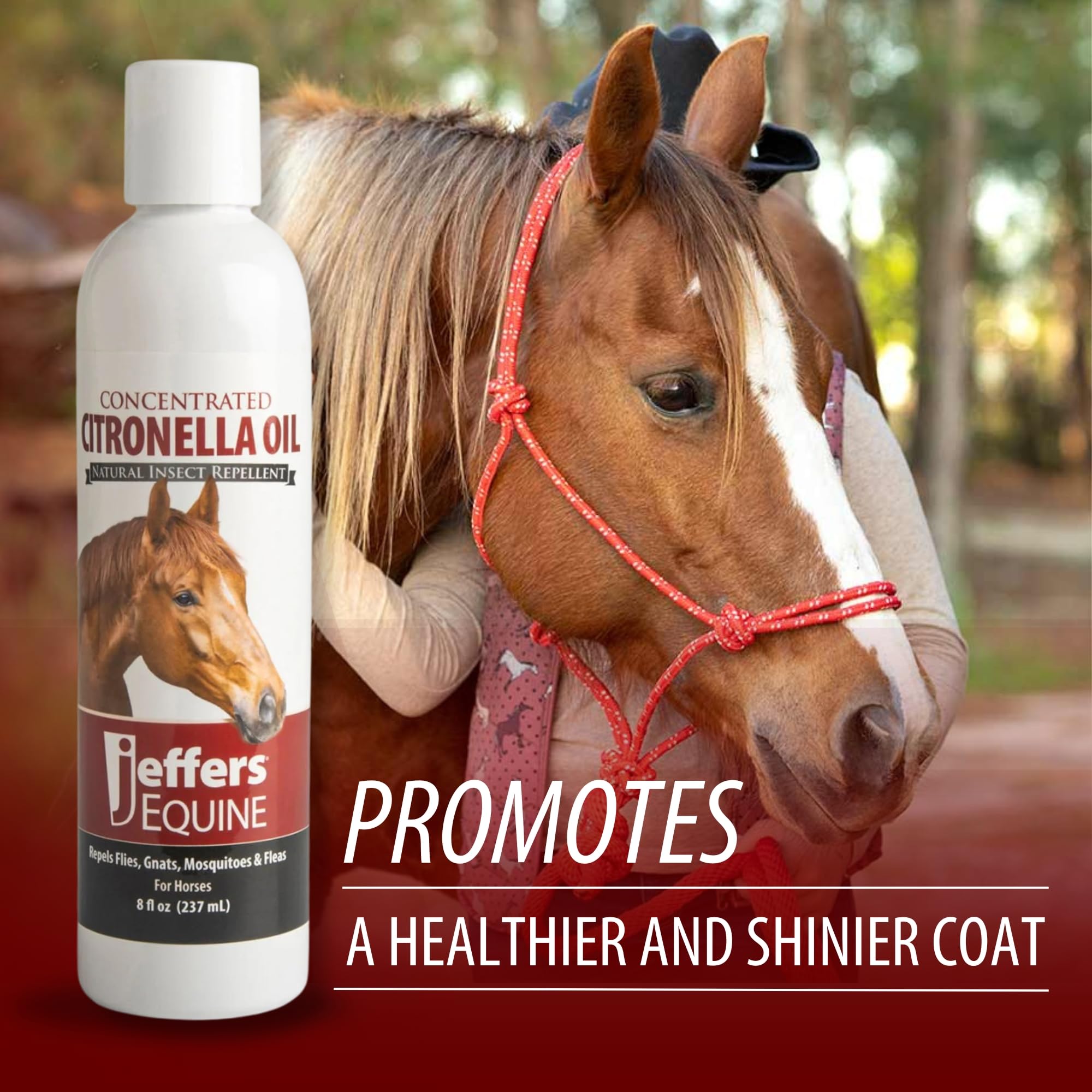 Jeffers Equine Citronella Oil - 8 oz 100% Pure Natural Essential Oil for Horses - Horse Shampoo Additive & Grooming Aid - Fresh