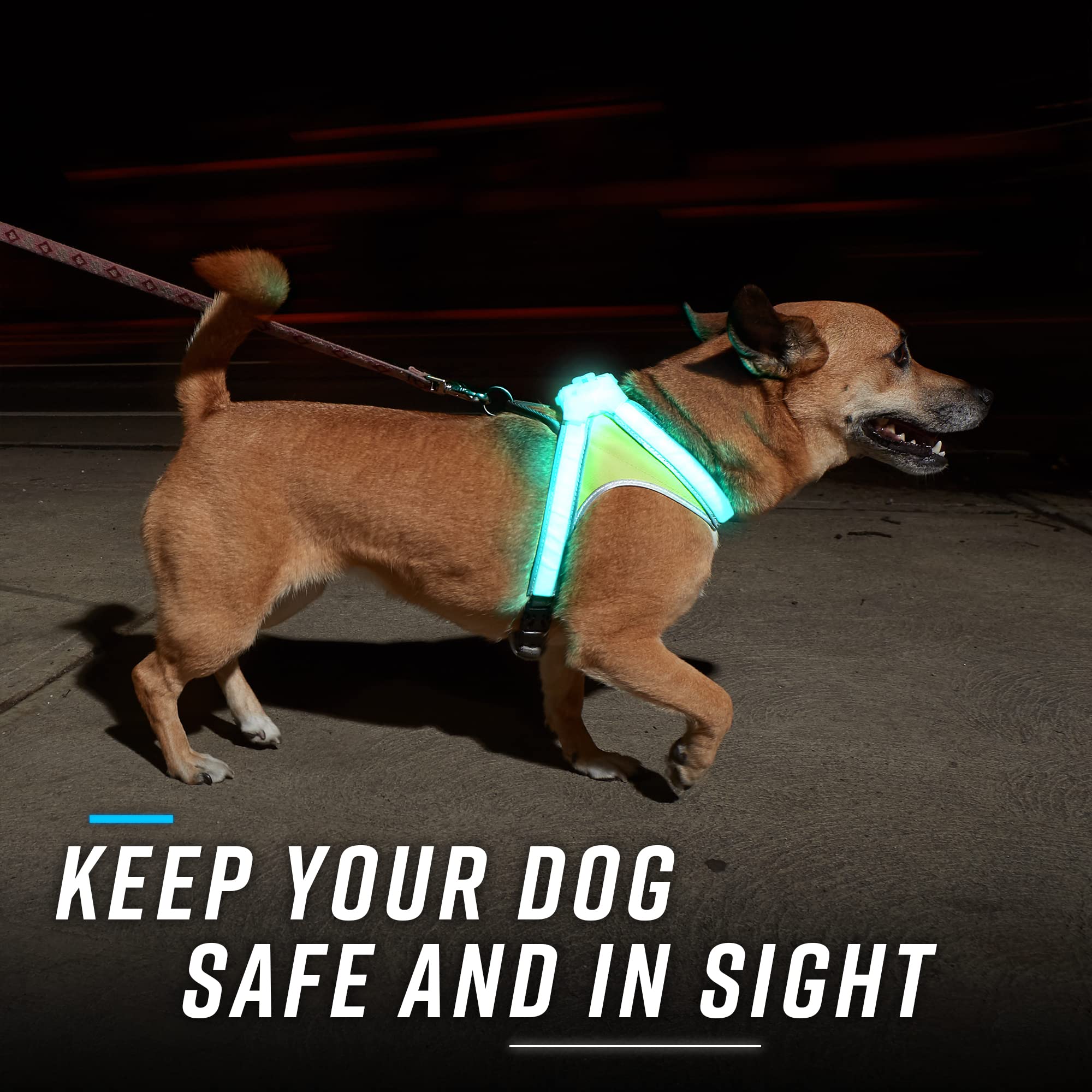 Noxgear LightHound (Large) + High-Visibility Dog Leash - Illuminated and Reflective Harness for Dogs Including Multicolored LED
