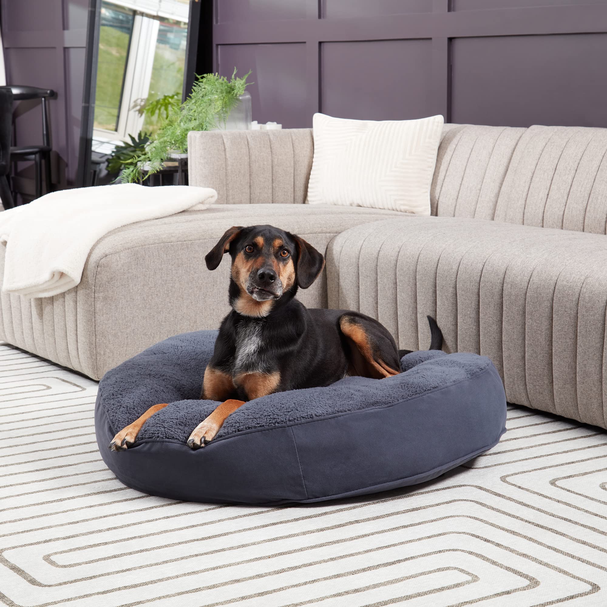 Happy Hounds Scout Deluxe Round Pillow Style Sherpa Dog Bed, Medium (36 X 36 In.), Prussian Blue, 36.0'' L X 36.0'' W X 6.0'' Th