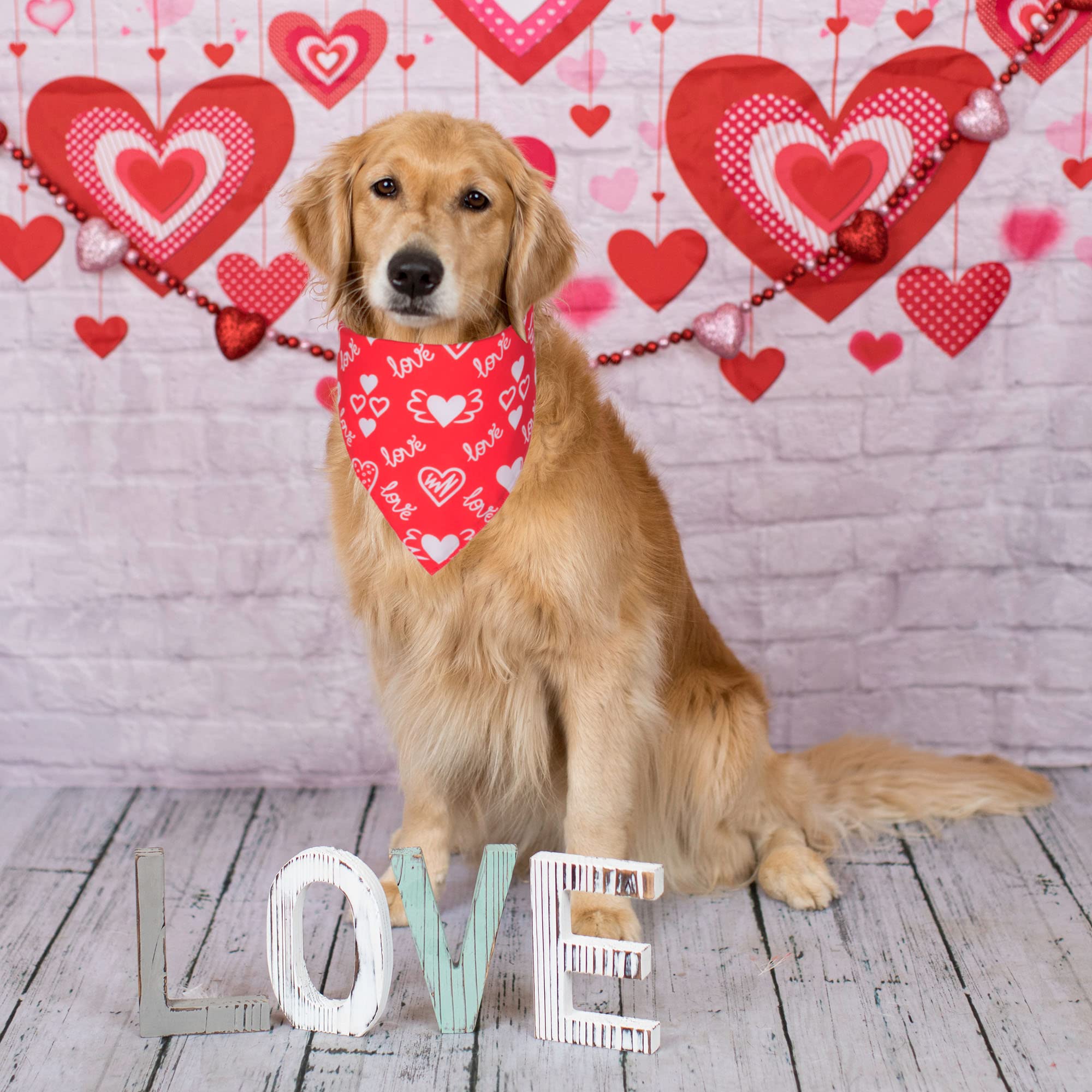 Adoggygo Valentine Dog Bandana, Multiple Sizes Offered, Triangle Dog Scarf Valentine Bandana For Large X-Large Dogs (X-Large)