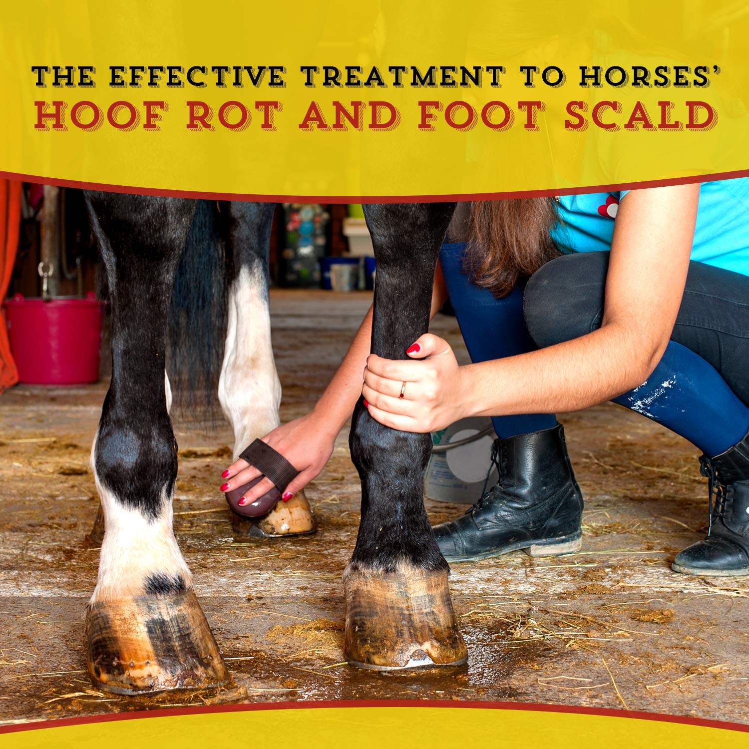 Dr. Naylor Hoof N Heal, Hoof Rot Foot Rot Wound Care, 16oz, Sheep Goat Cow Horse, 1-pack