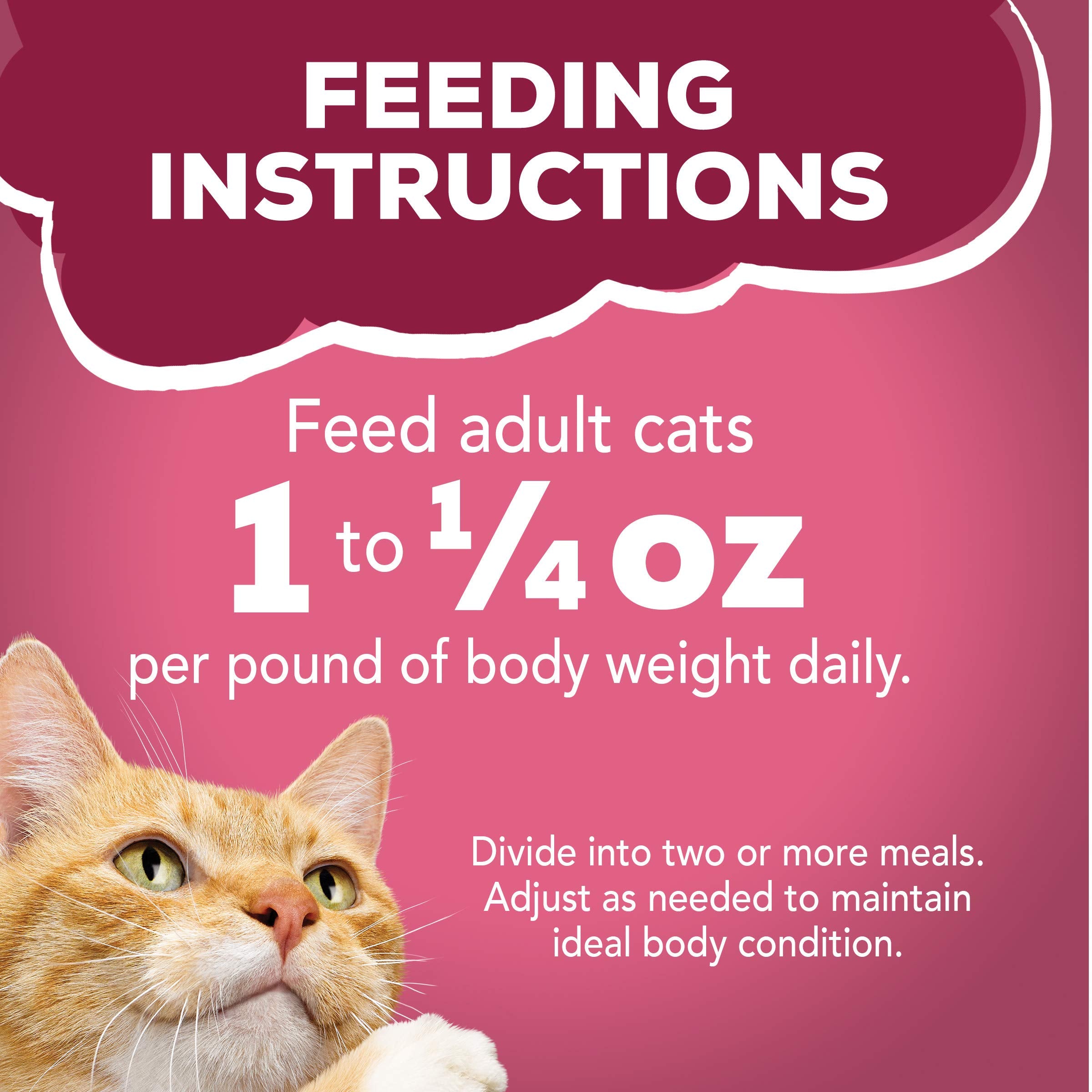 Purina Friskies Gravy Wet Cat Food Variety Pack, Prime Filets Meaty Favorites - (Pack of 24) 5.5 oz. Cans