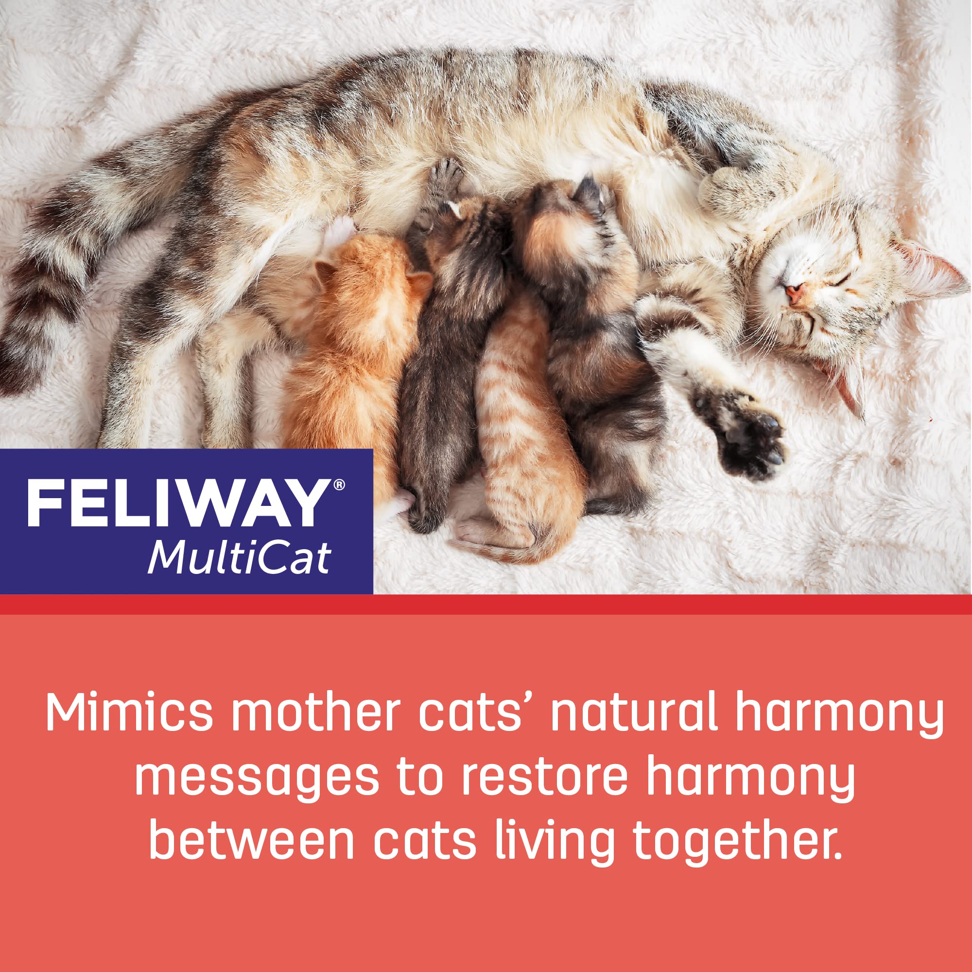 FELIWAY MultiCat 3 x 30 Day Cat Calming Refills for Pheromone Diffuser, 3 x 48ml Value Pack- Helps Reduce Conflicts and Signs of