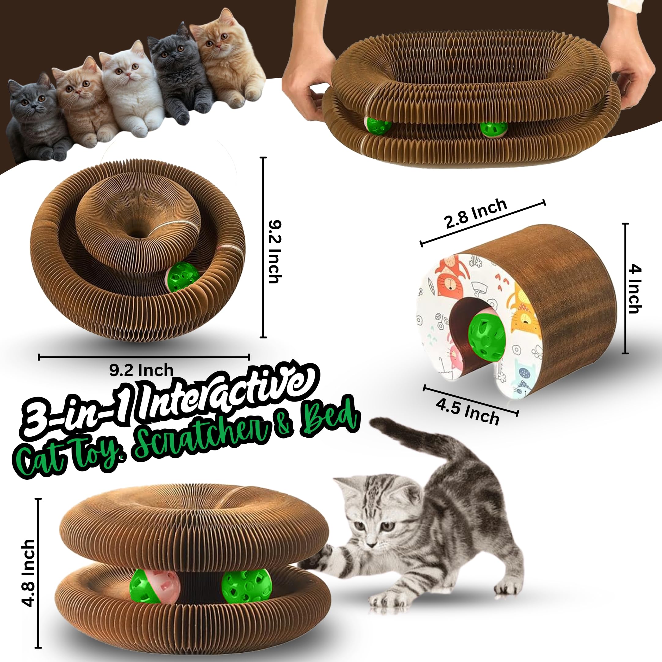 Greenwich Kitty Kurlz Reversible Infinity Cat Toy - Durable Magic Organ Made from Recycled Corrugated Cardboard | Eco-Friendly,