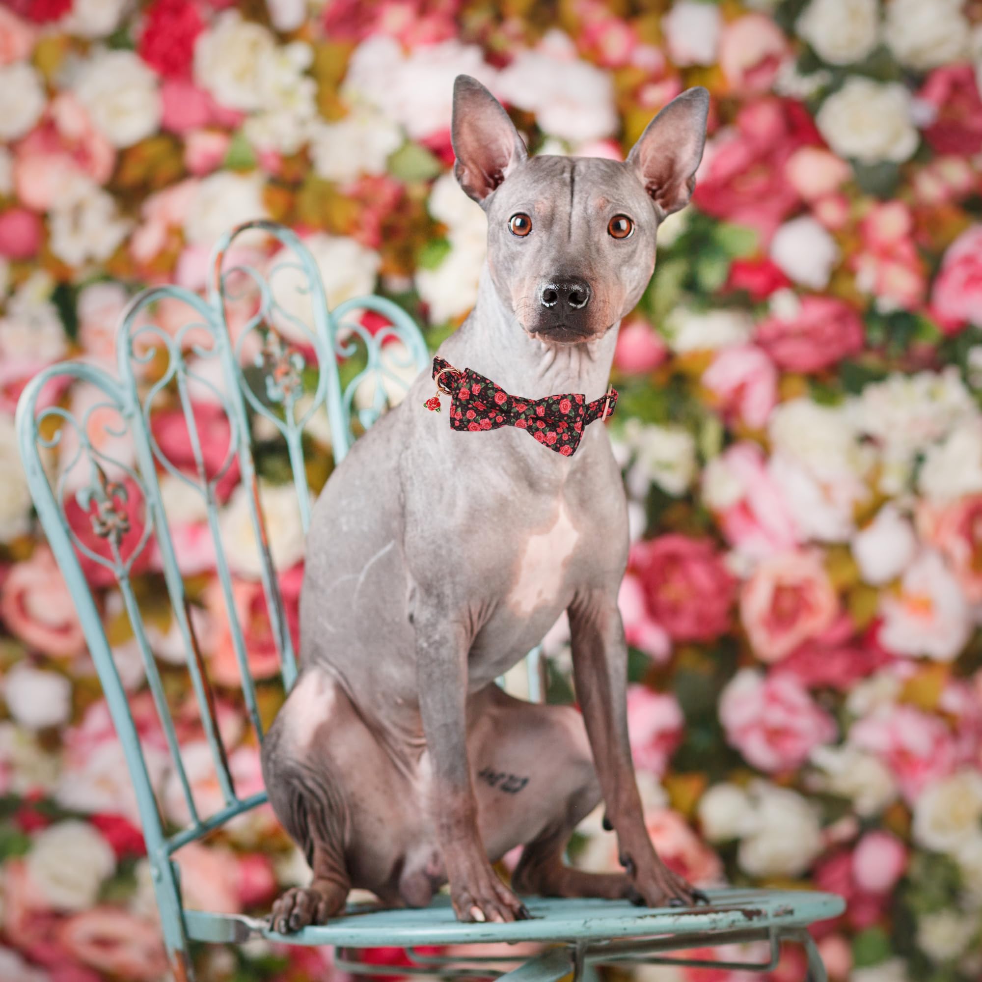 Adoggygo Floral Dog Collar With Bow, Red Rose Flower Dog Bowtie Collar With Metal Buckle, Adjustable Pet Floral Collars For Extr