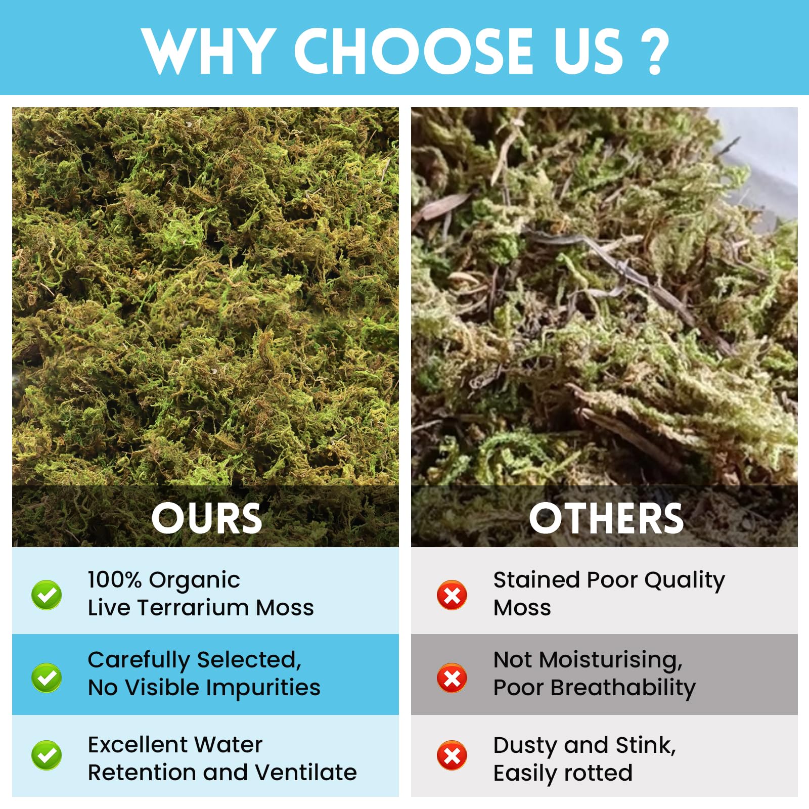 Riare 7 OZ Premium Sphagnum Moss for Reptiles- 10QT Natural Live Moss Reptile Moss Bedding for Terrarium, Hatching, Forest Sphag