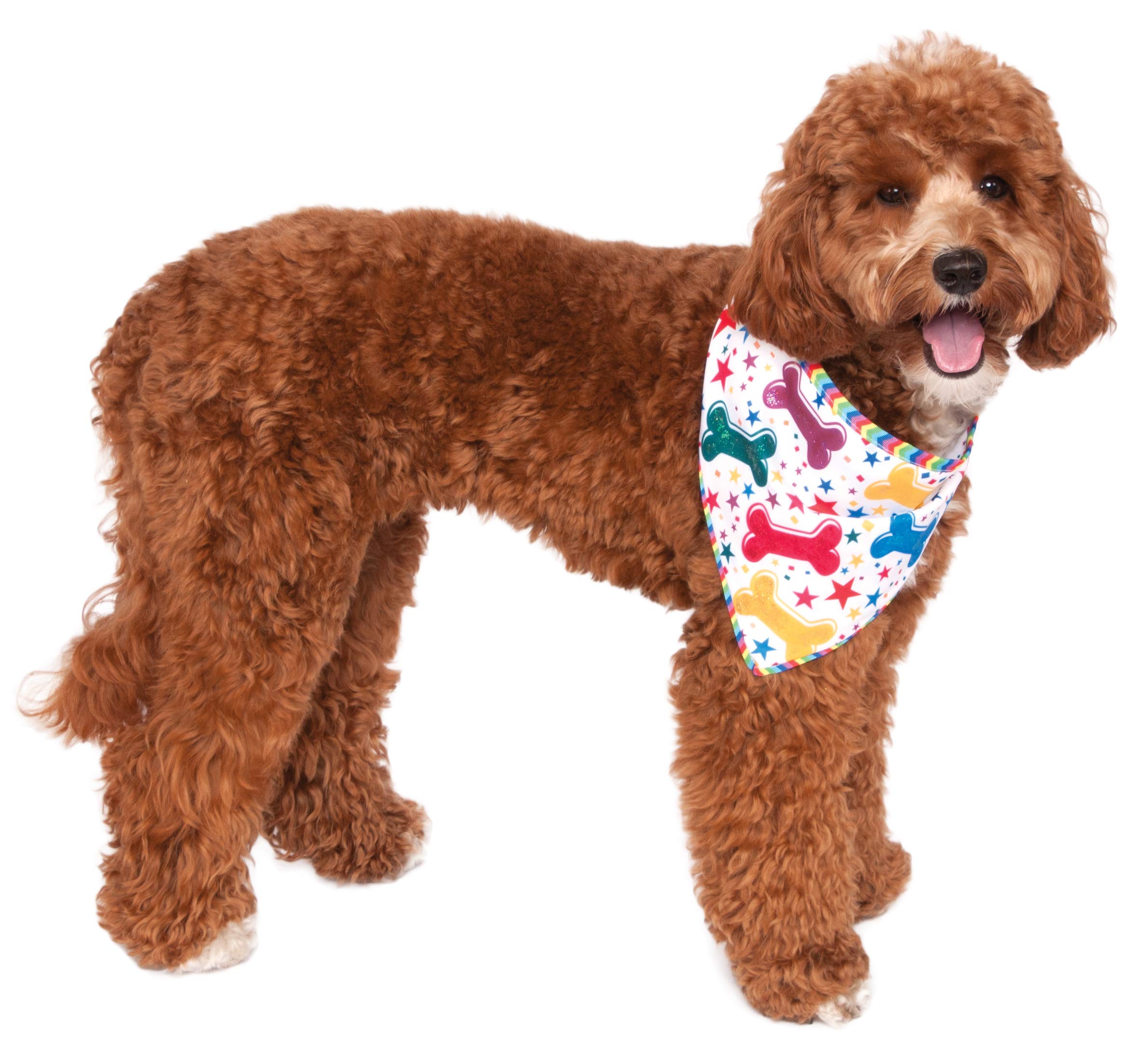 Rubie'S It'S My Bark Day Reversible Pet Bandana, Small/Medium