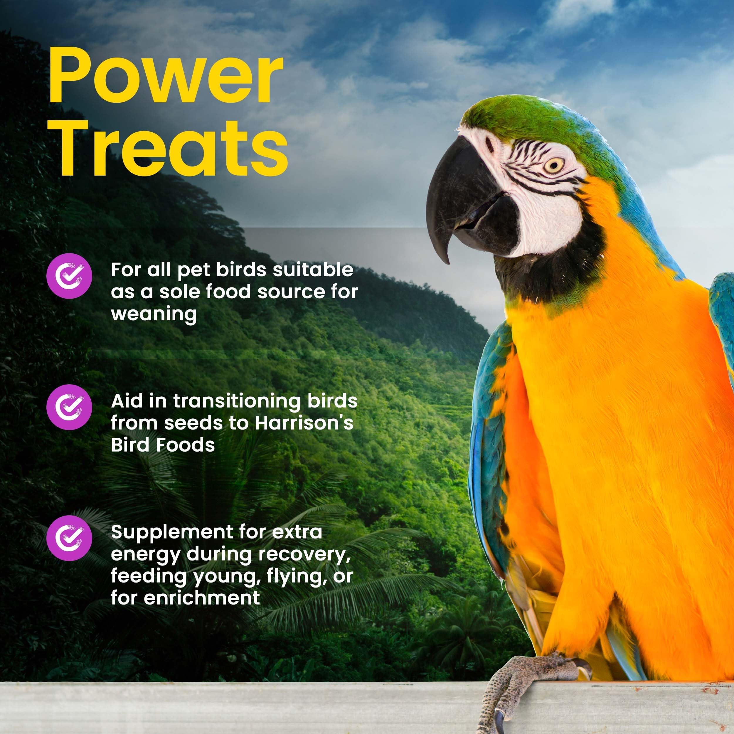 Harrisons Bird Food Power Treats with Red Palm Fruit Oil, 1 lb. 454g