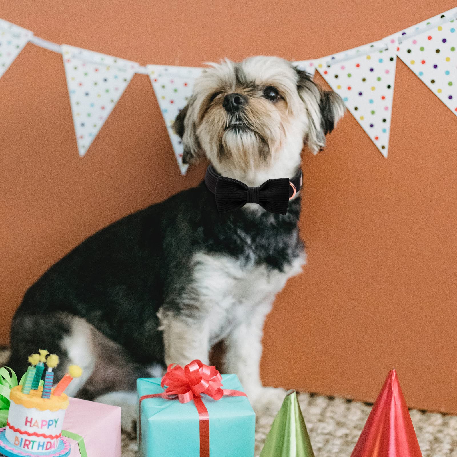 Babole Pet Black Dog Collars for Medium Dog,Cute Corduroy Dog Collar with Bow Tie Safety Metal Buckle Adjustable Puppy Collars f